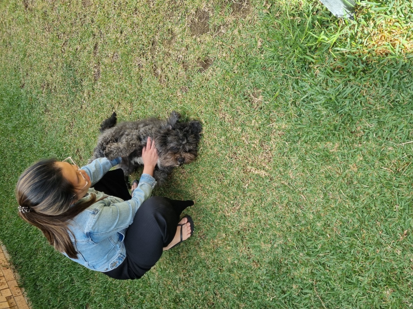 image-8
