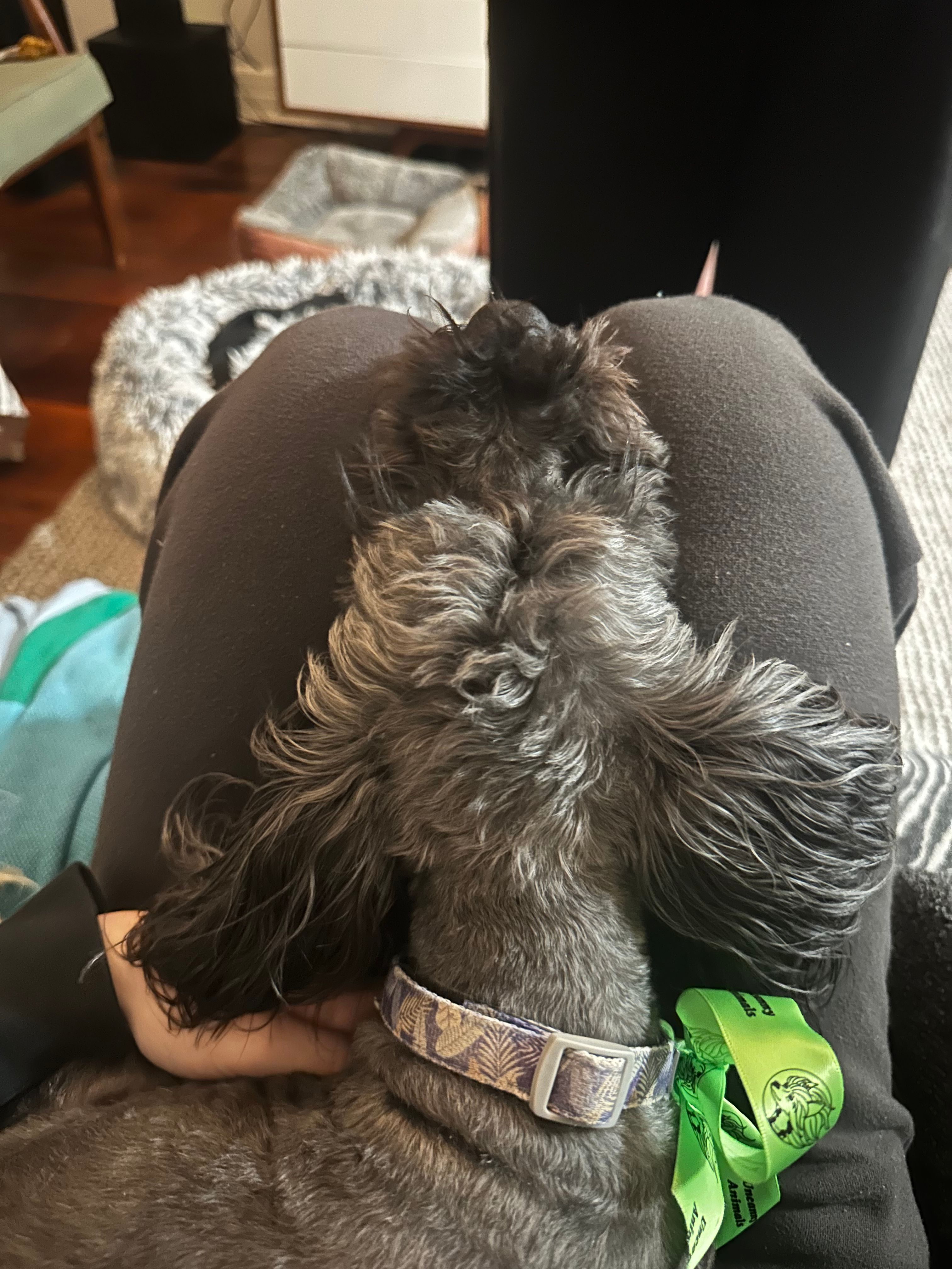 image-9