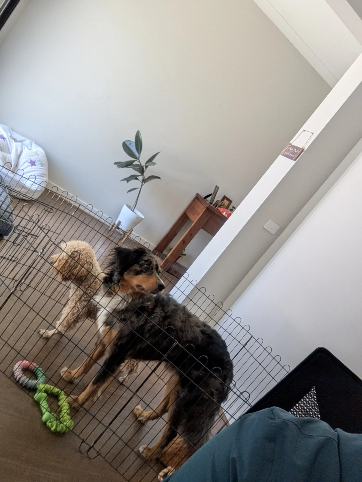 image-16