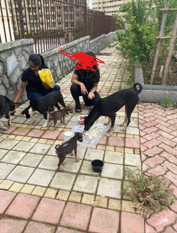 image-3