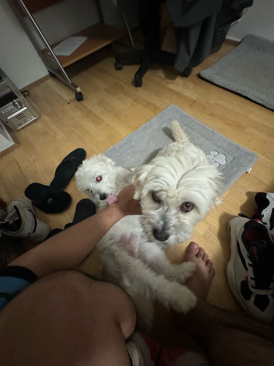 image-12