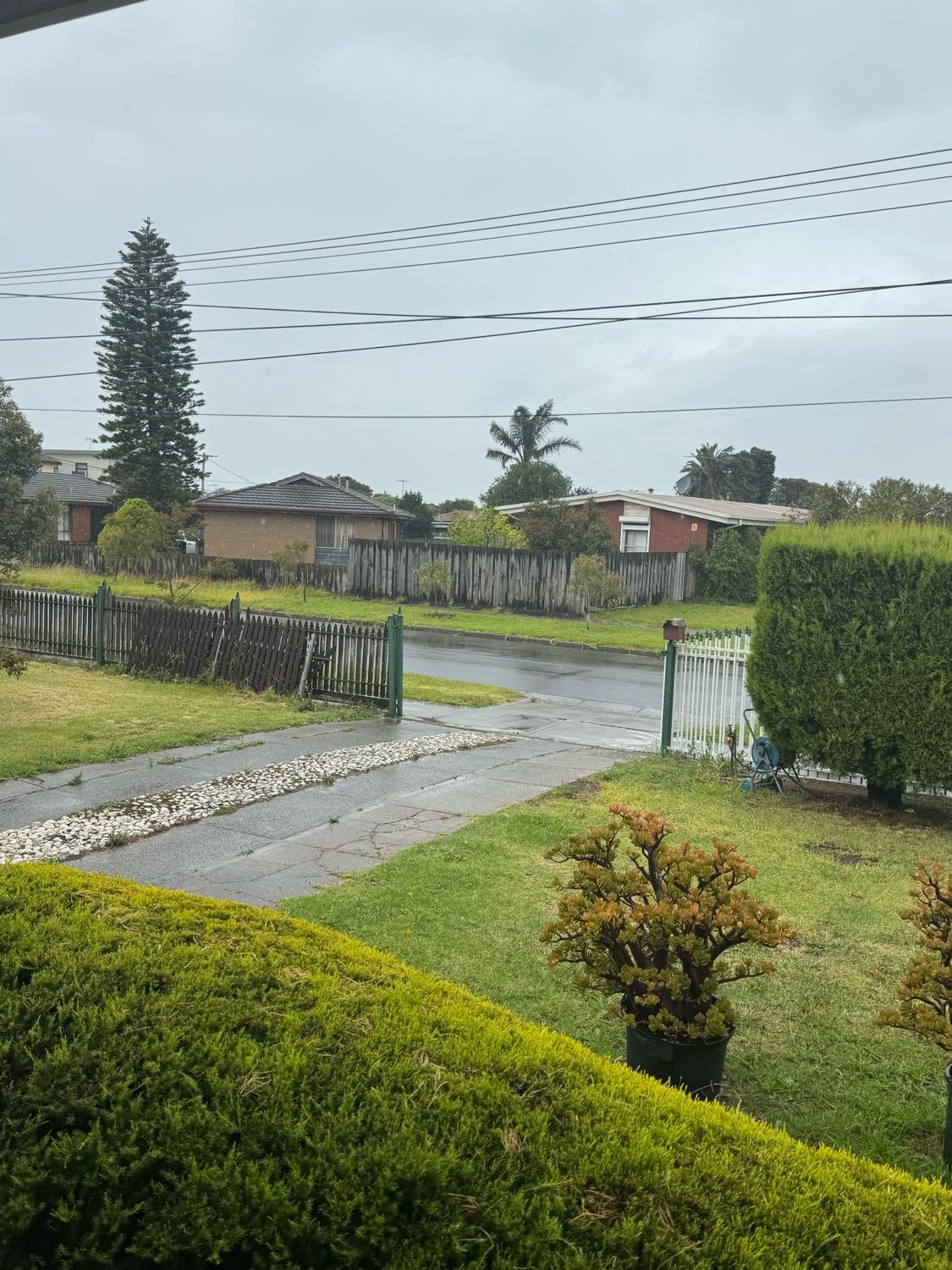 image-10