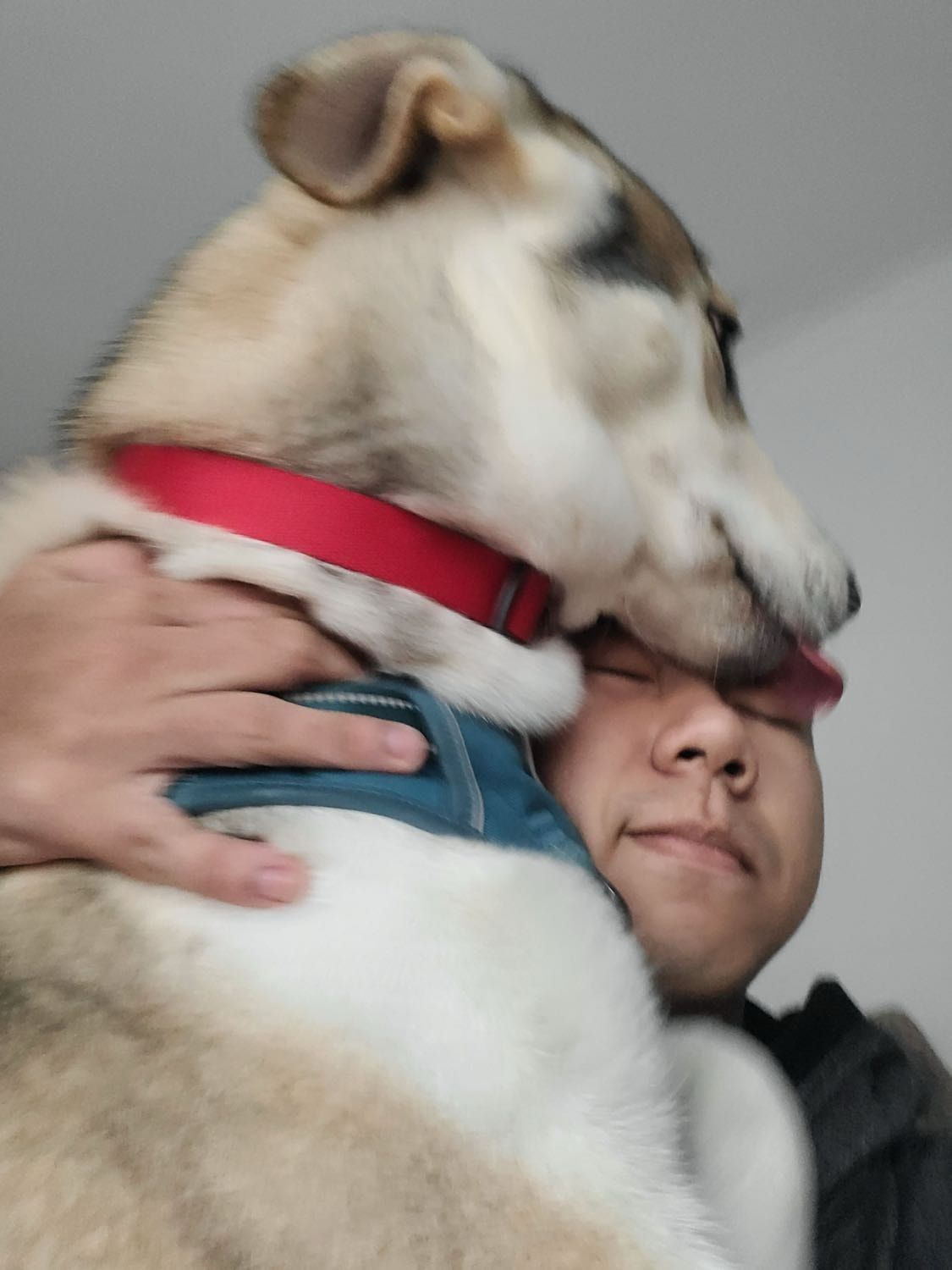 image-6