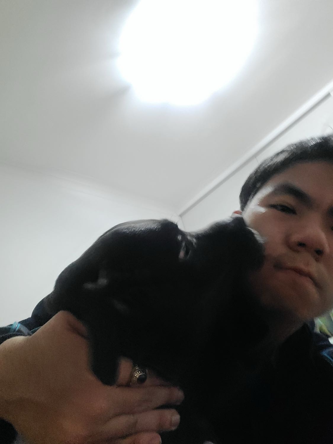 image-7