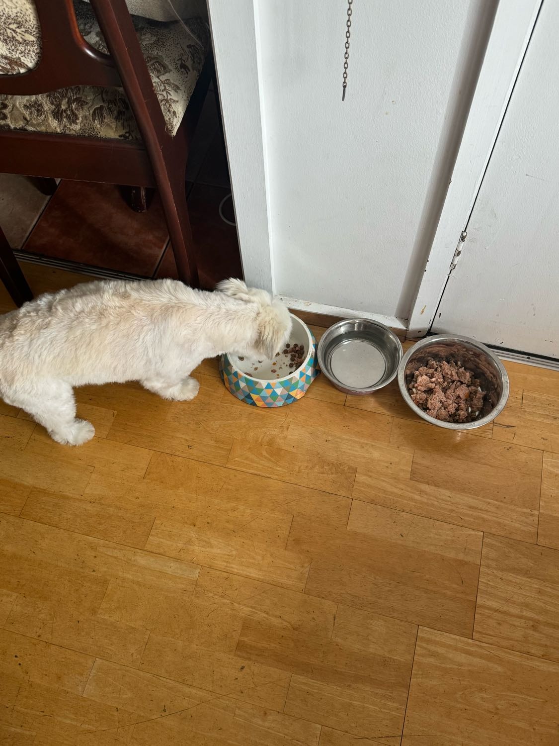 image-14