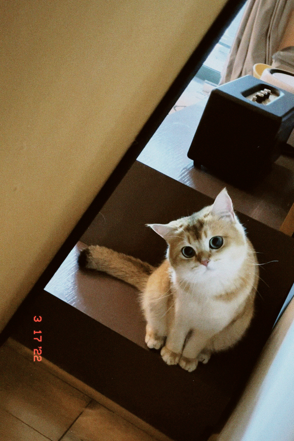 image-5