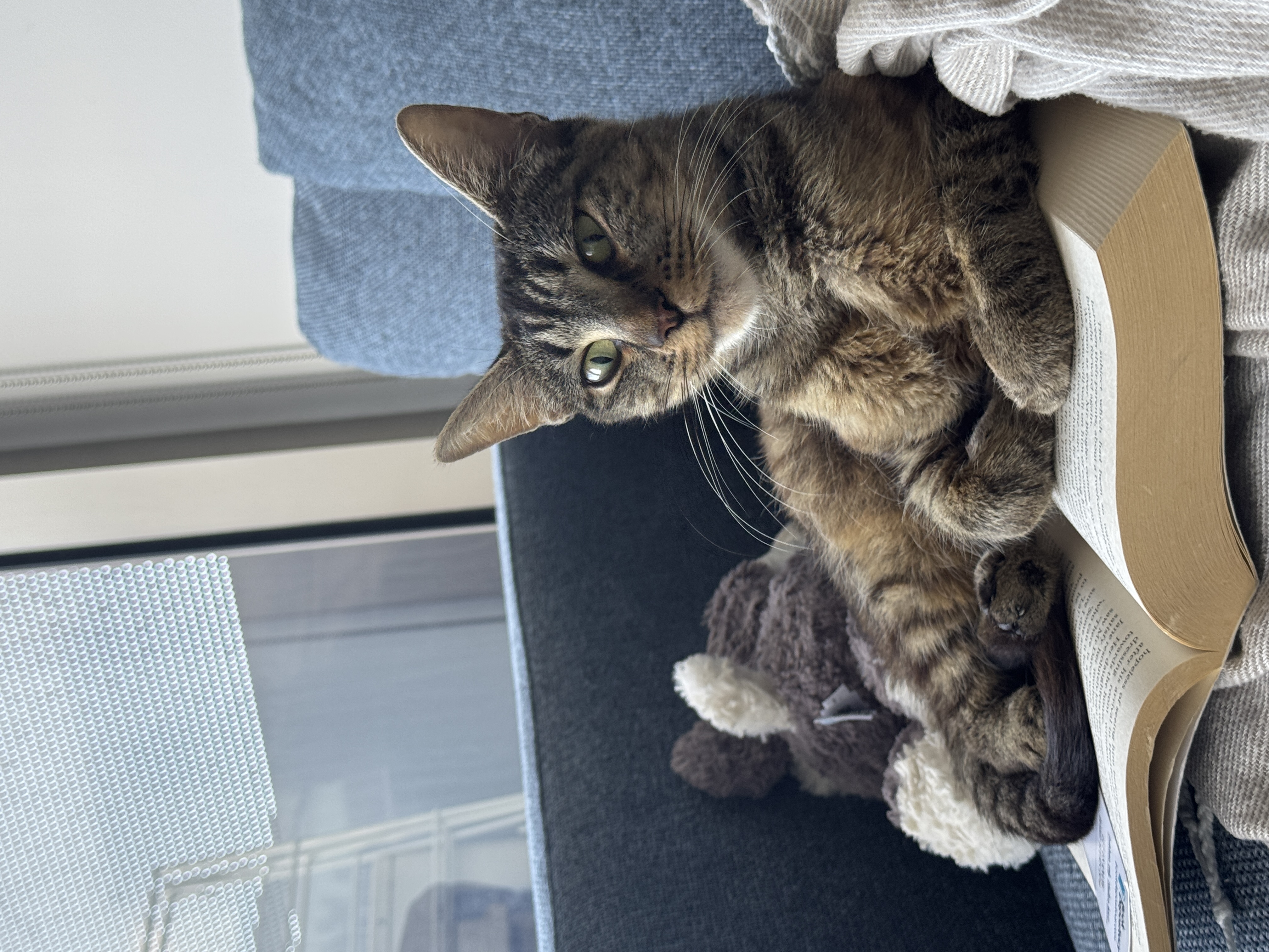 image-3