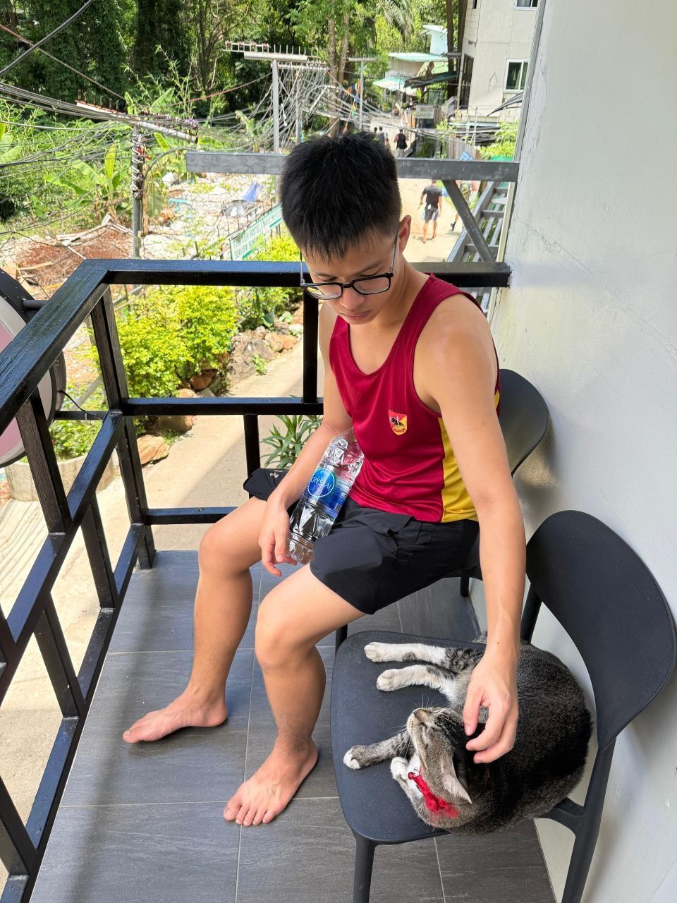 image-7