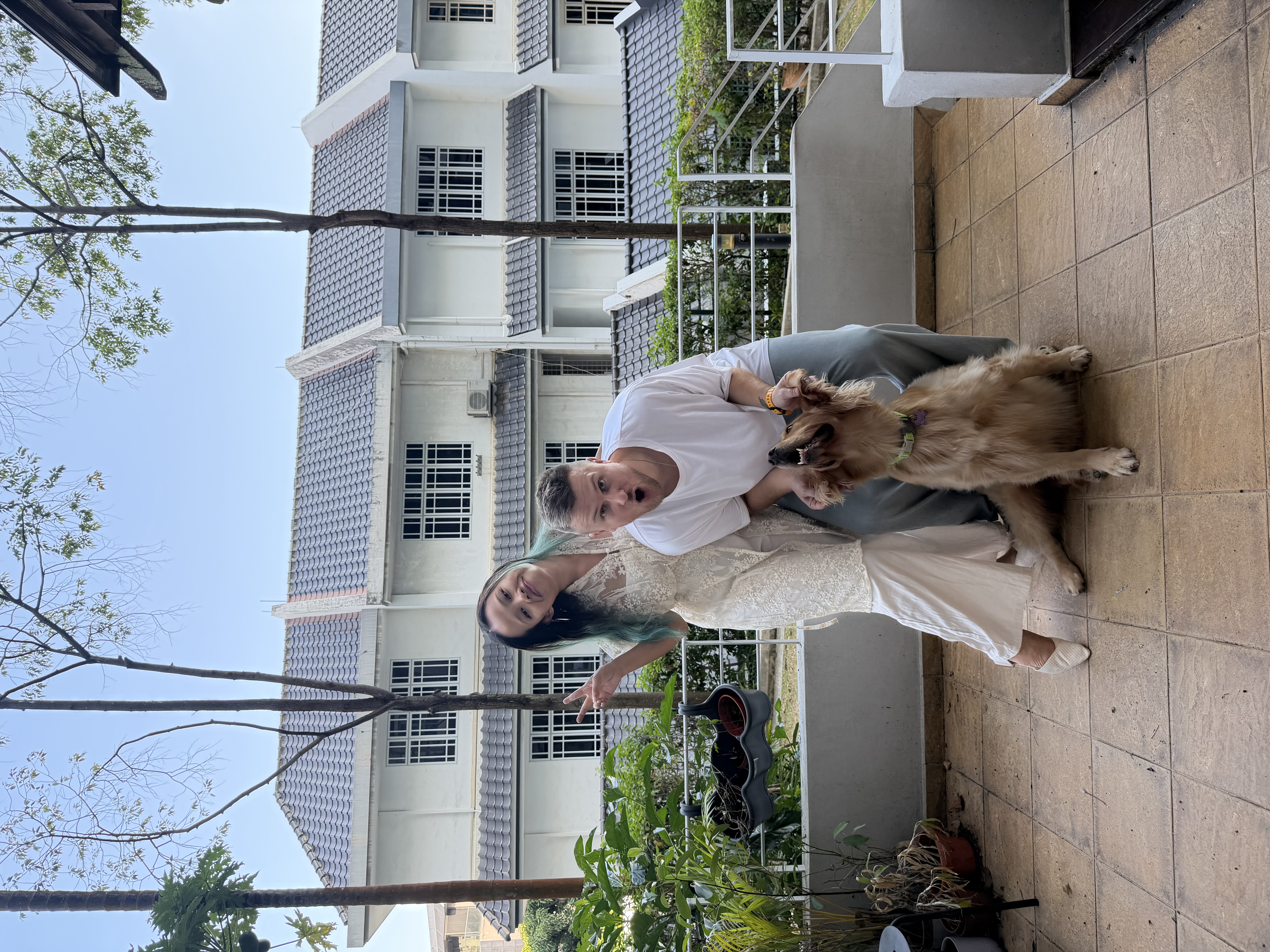 image-14