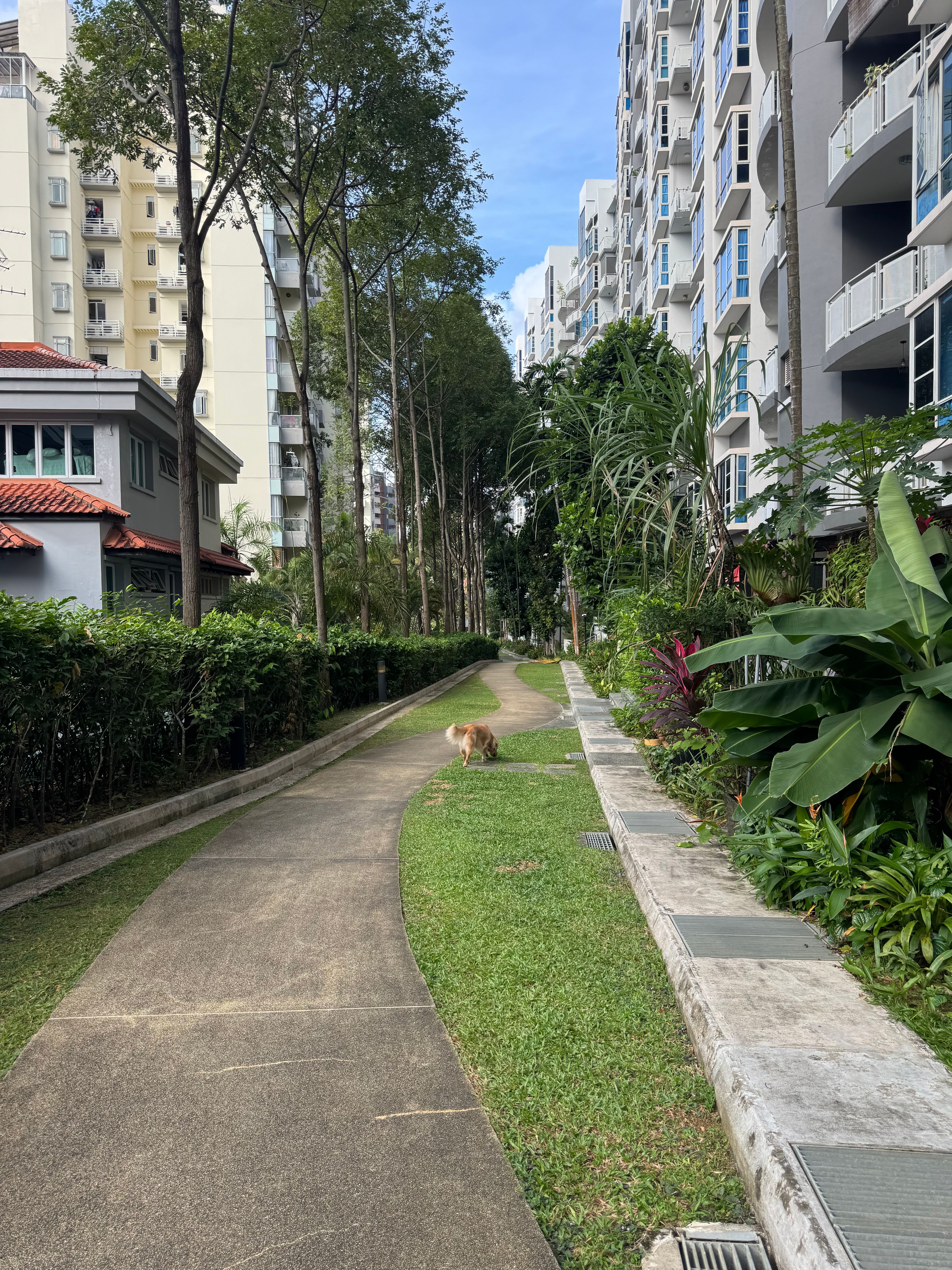 image-18