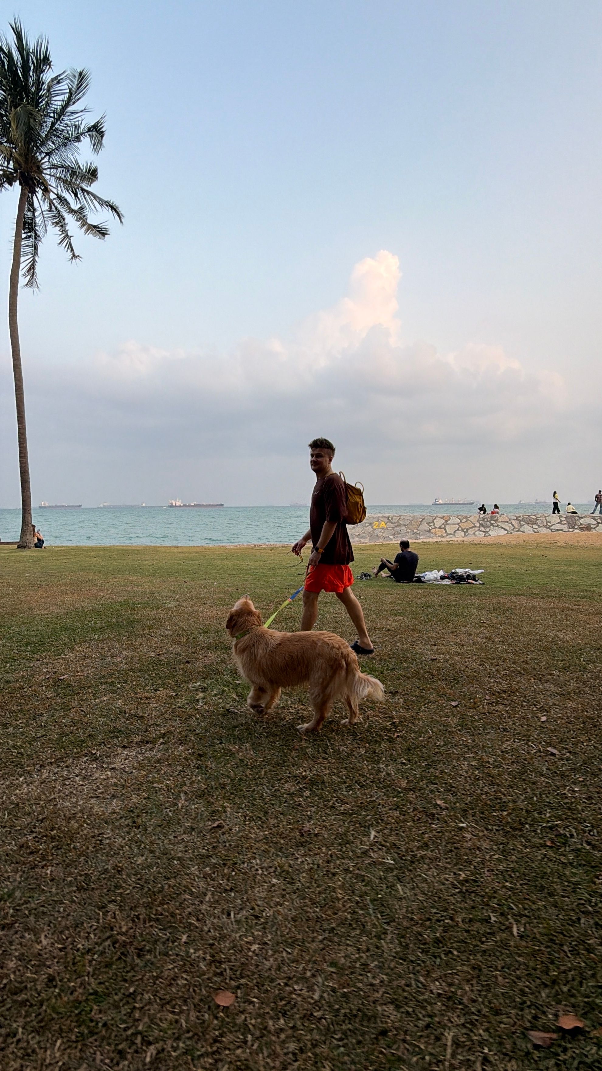 image-12