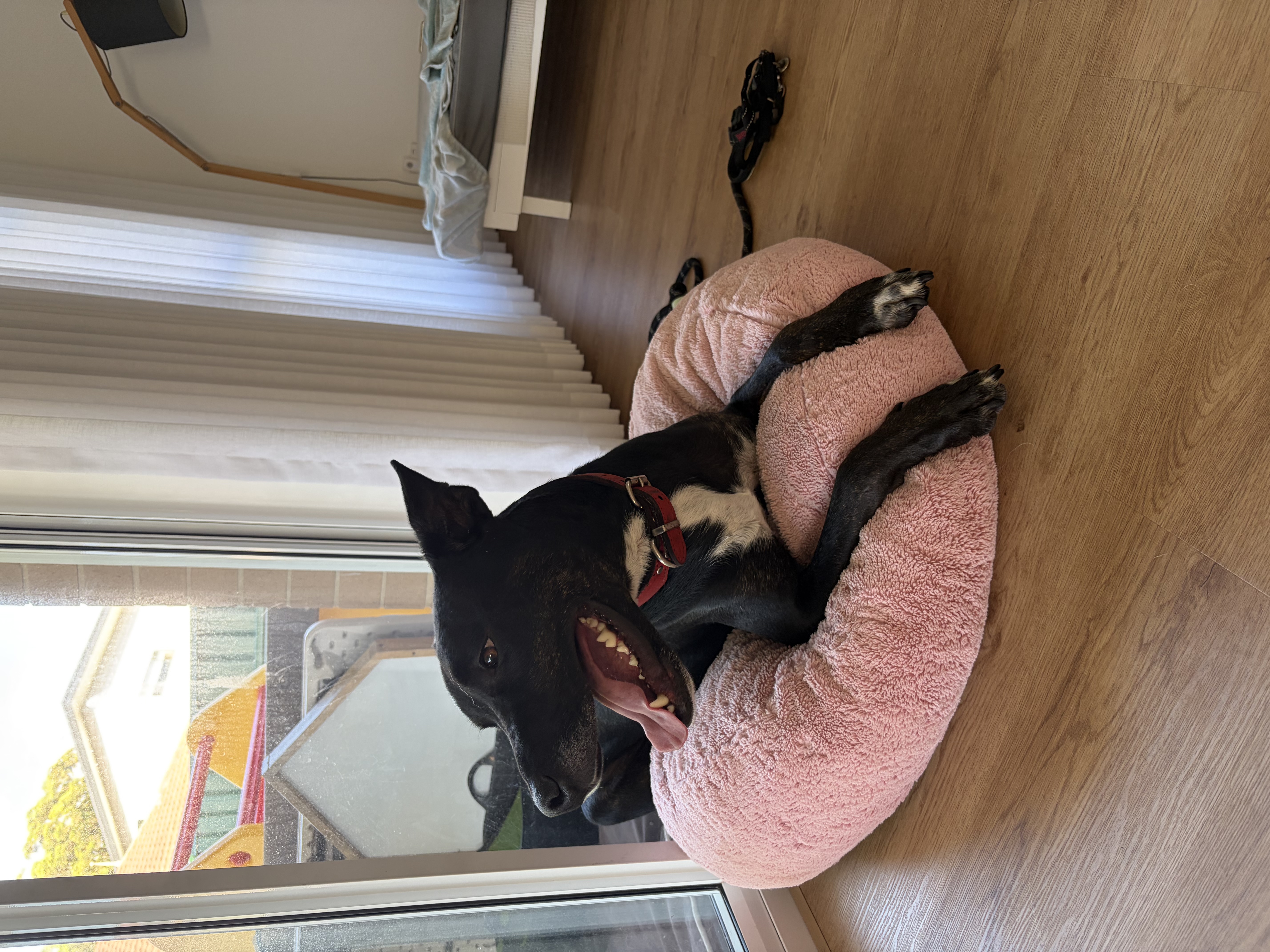 image-15