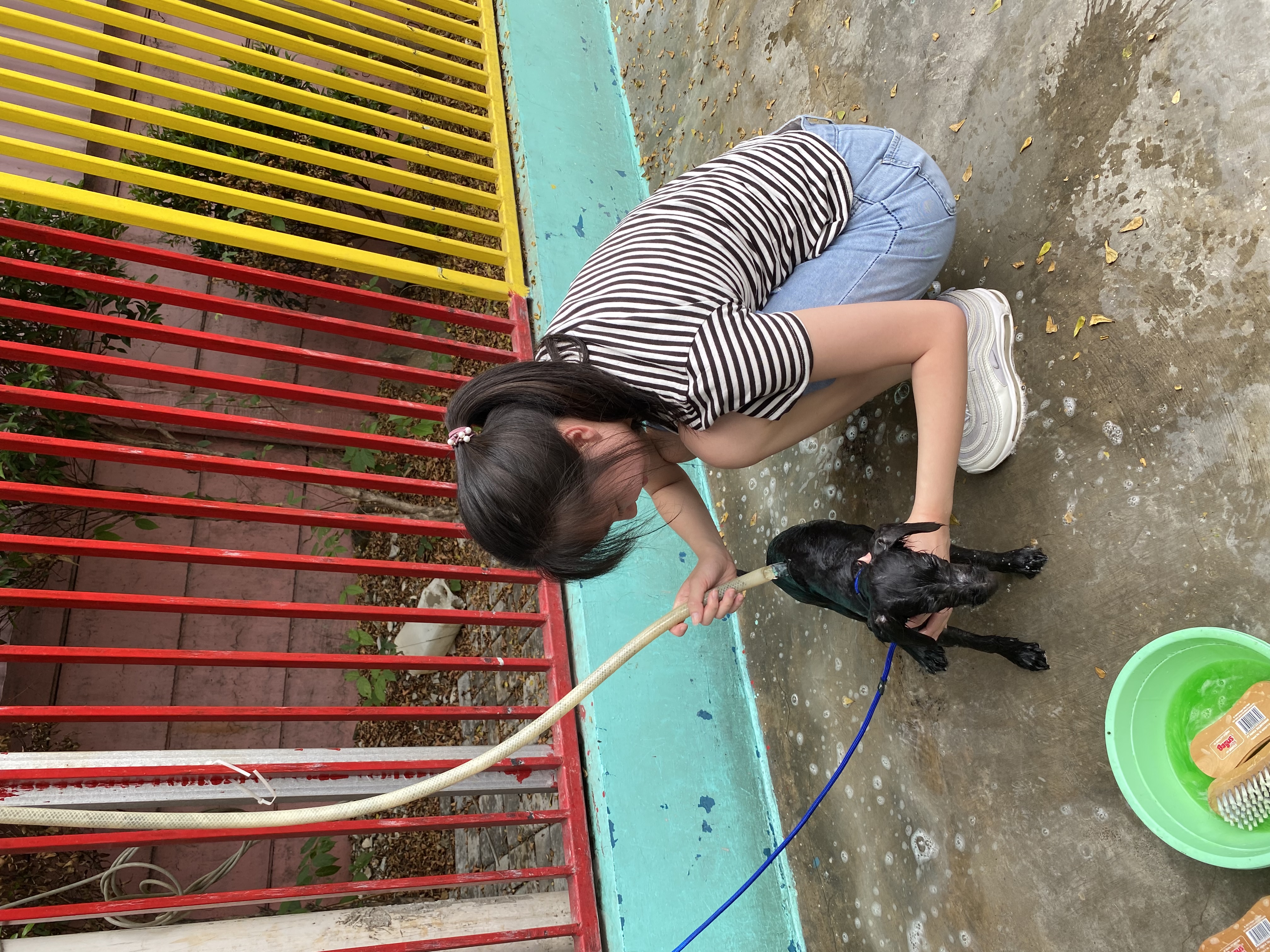 image-8
