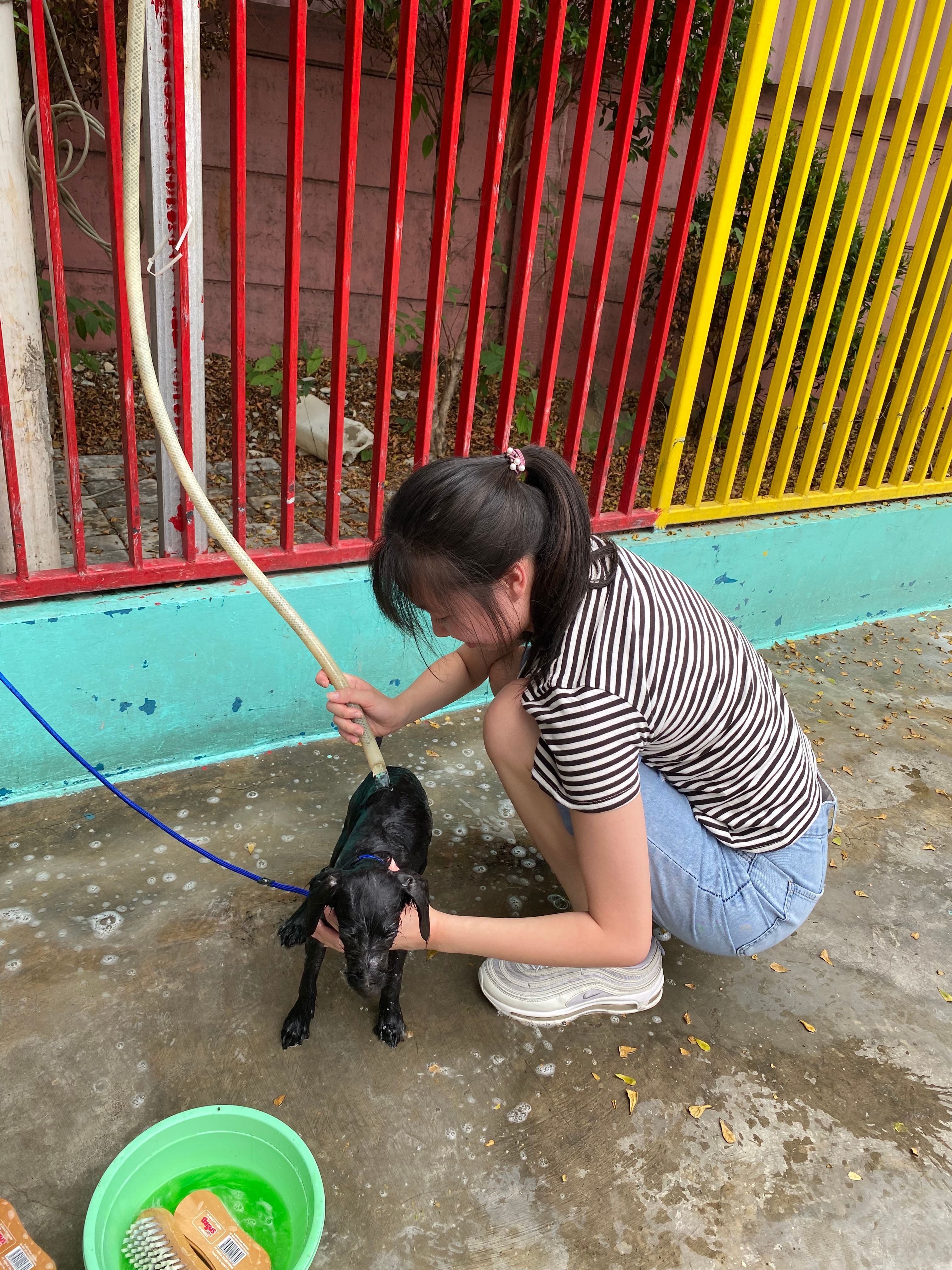 image-8