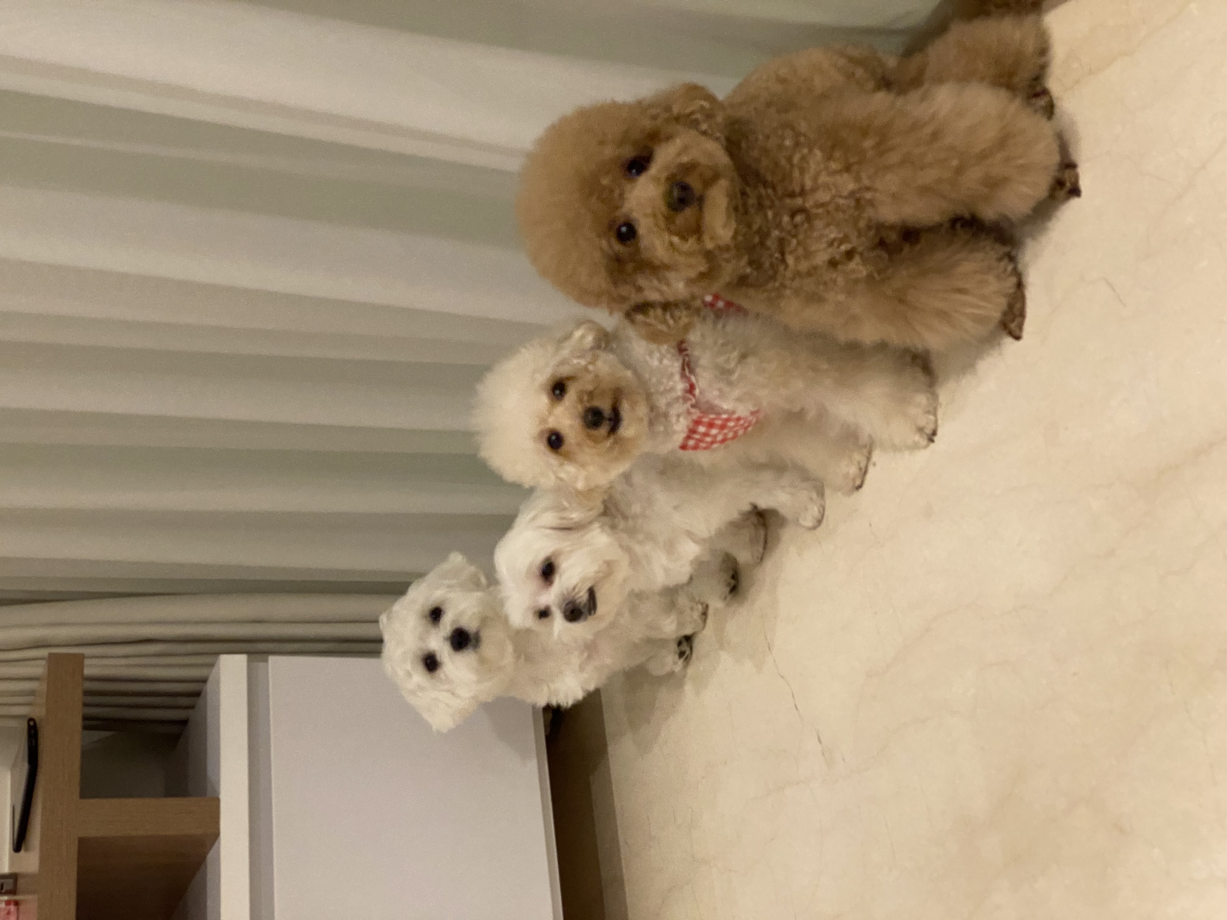 image-5