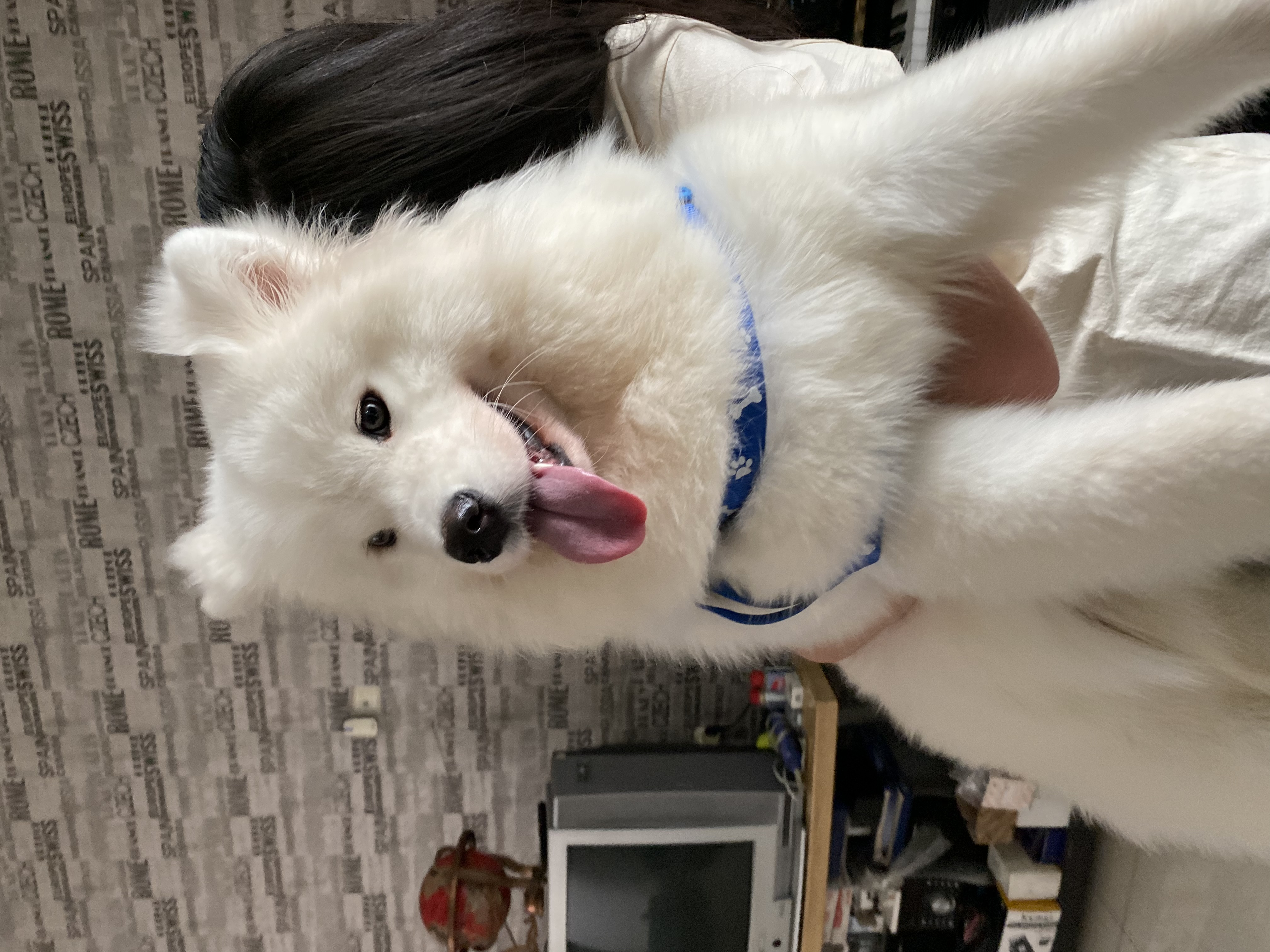 image-7