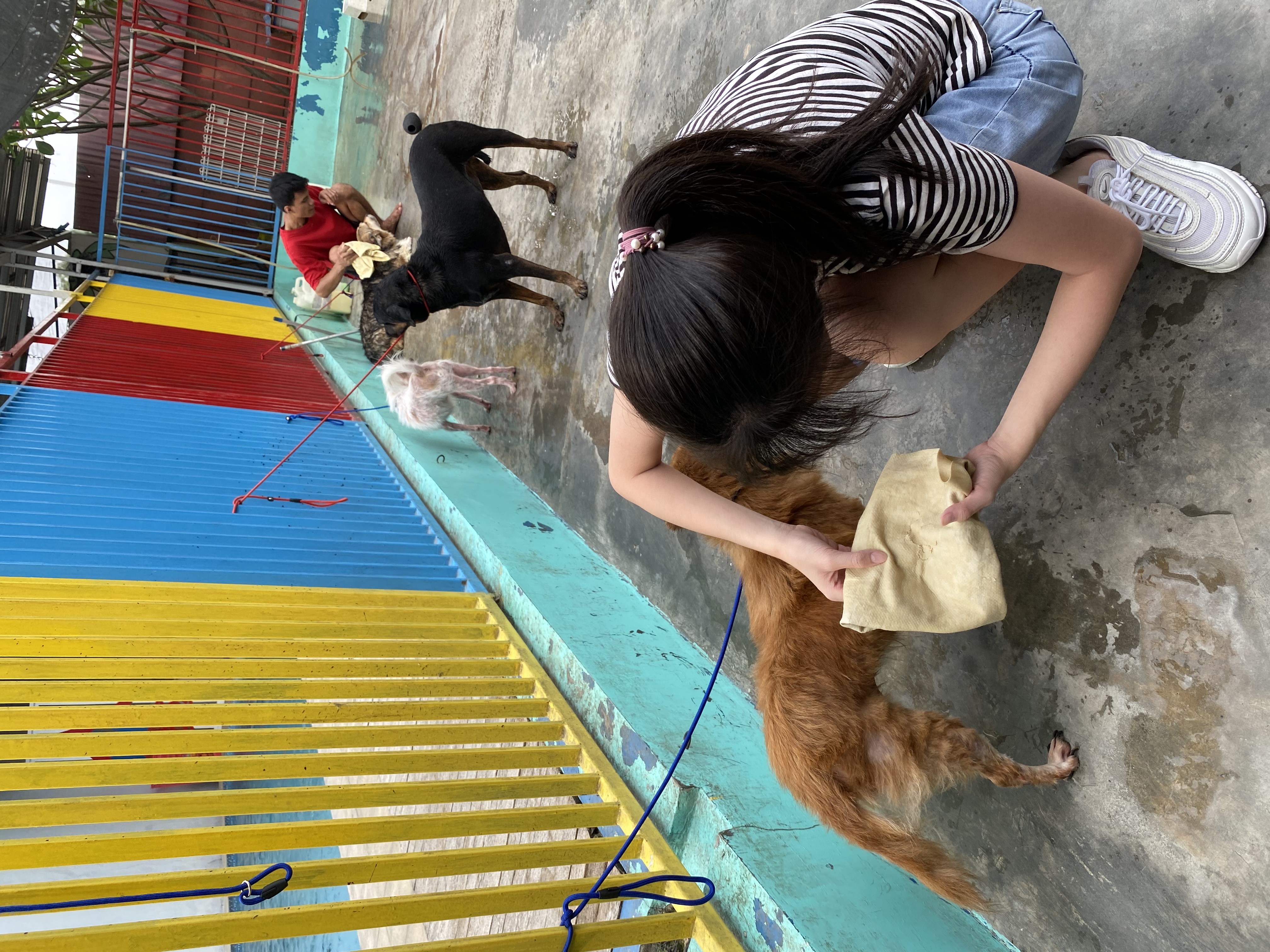 image-6