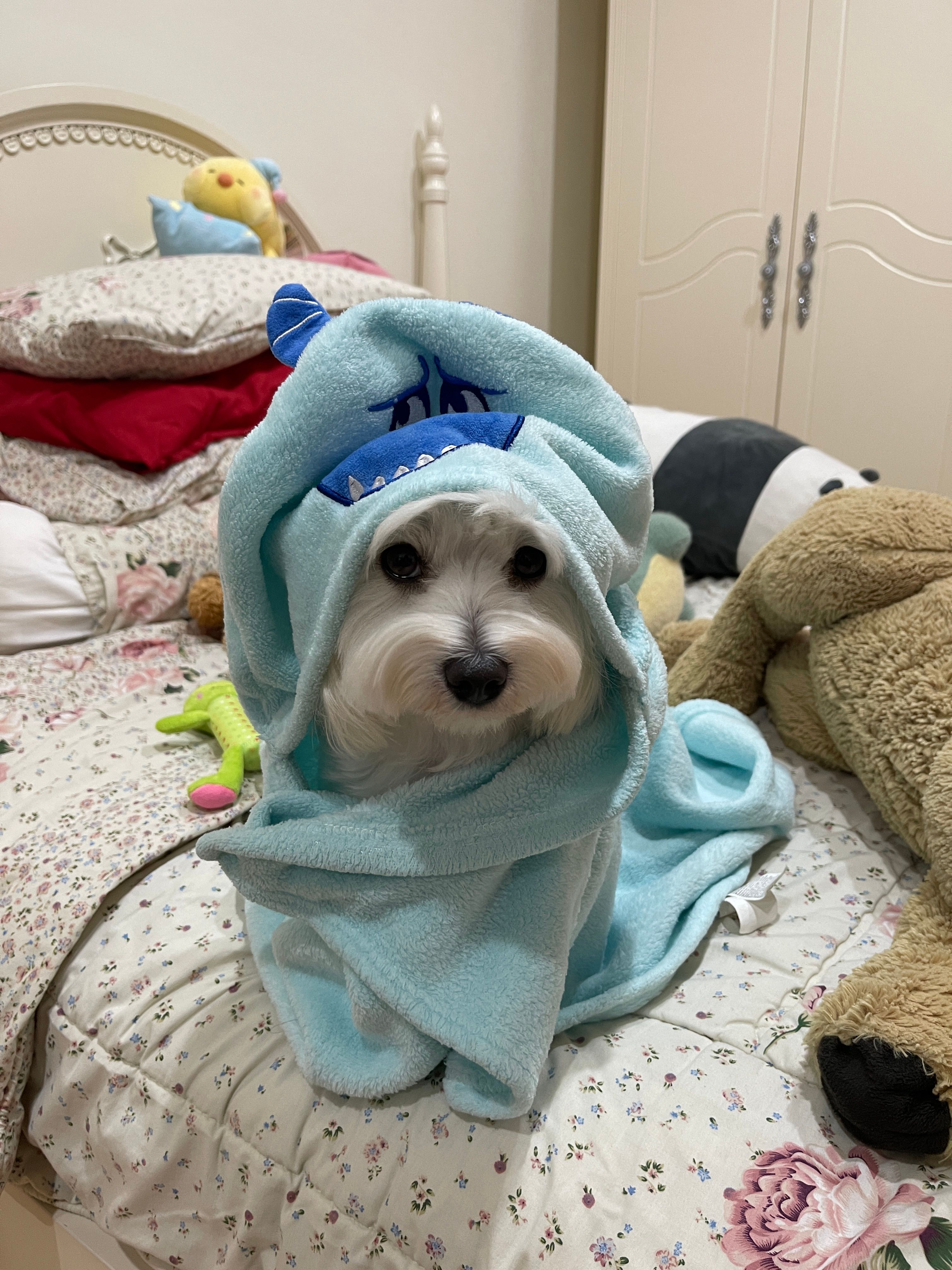 image-10