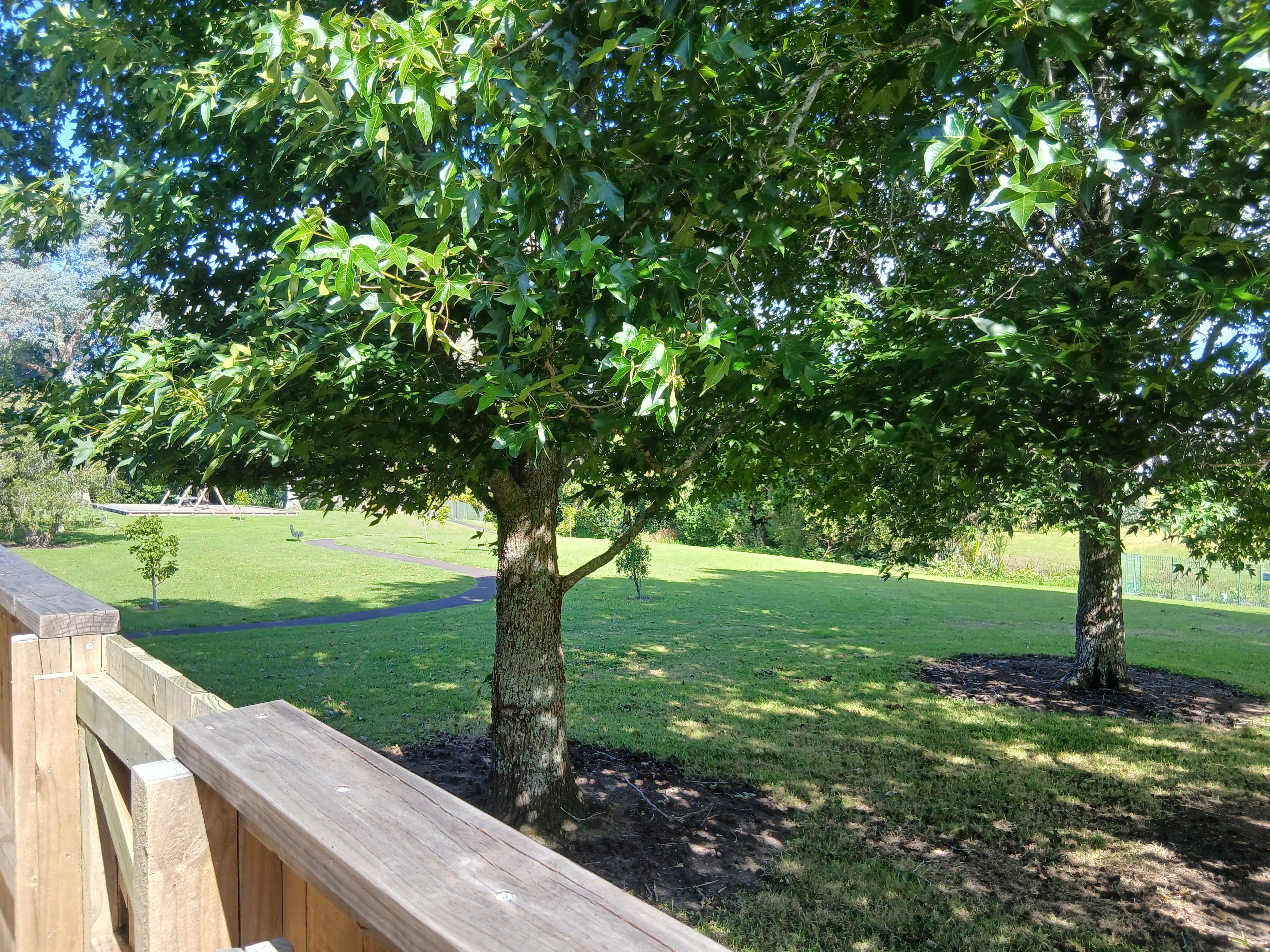 image-15