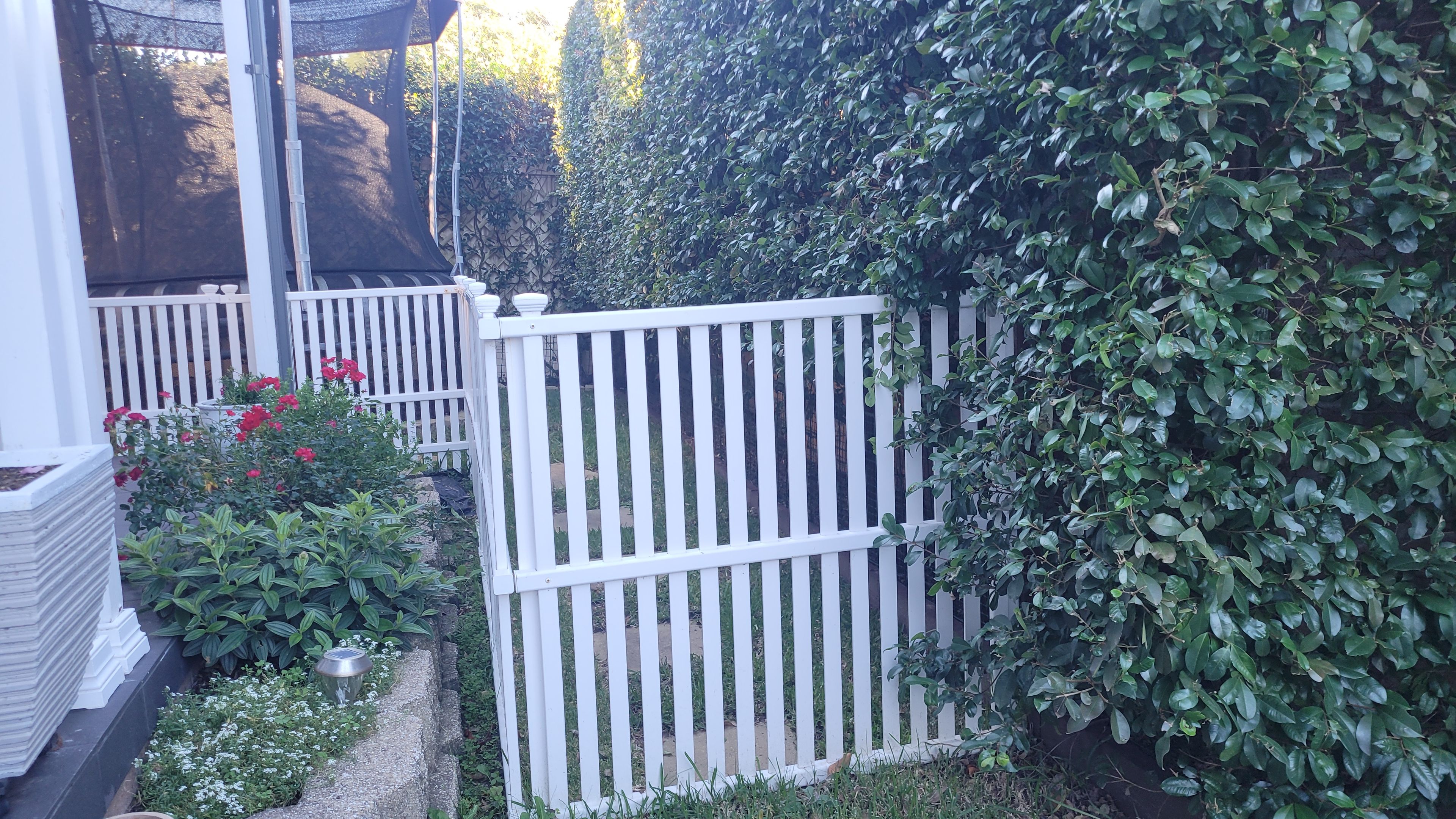 image-18