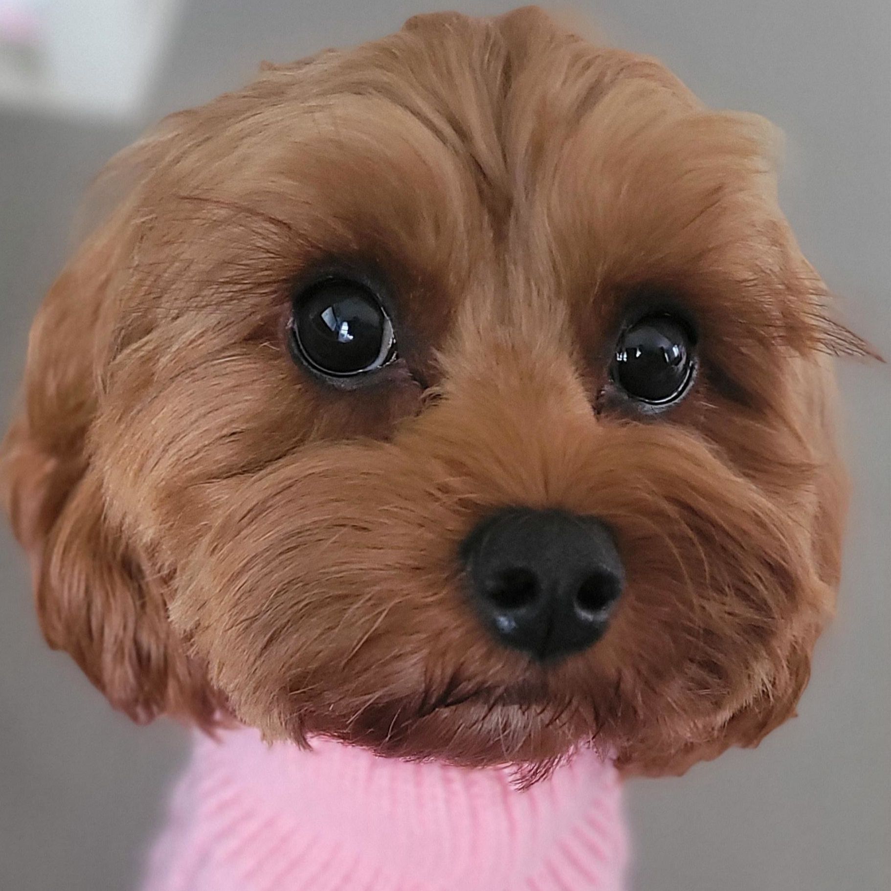 Chloe