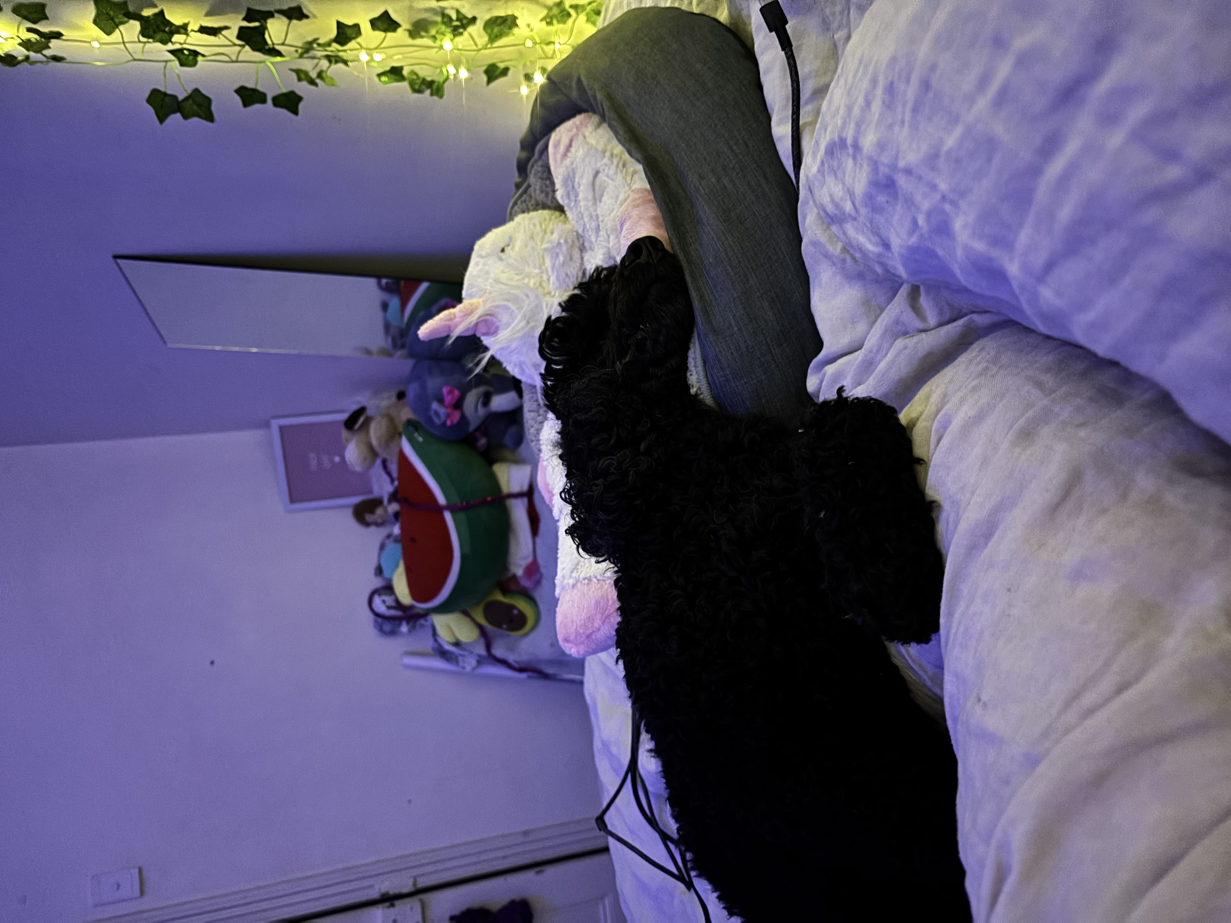 image-8