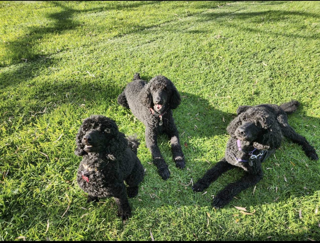 image-2