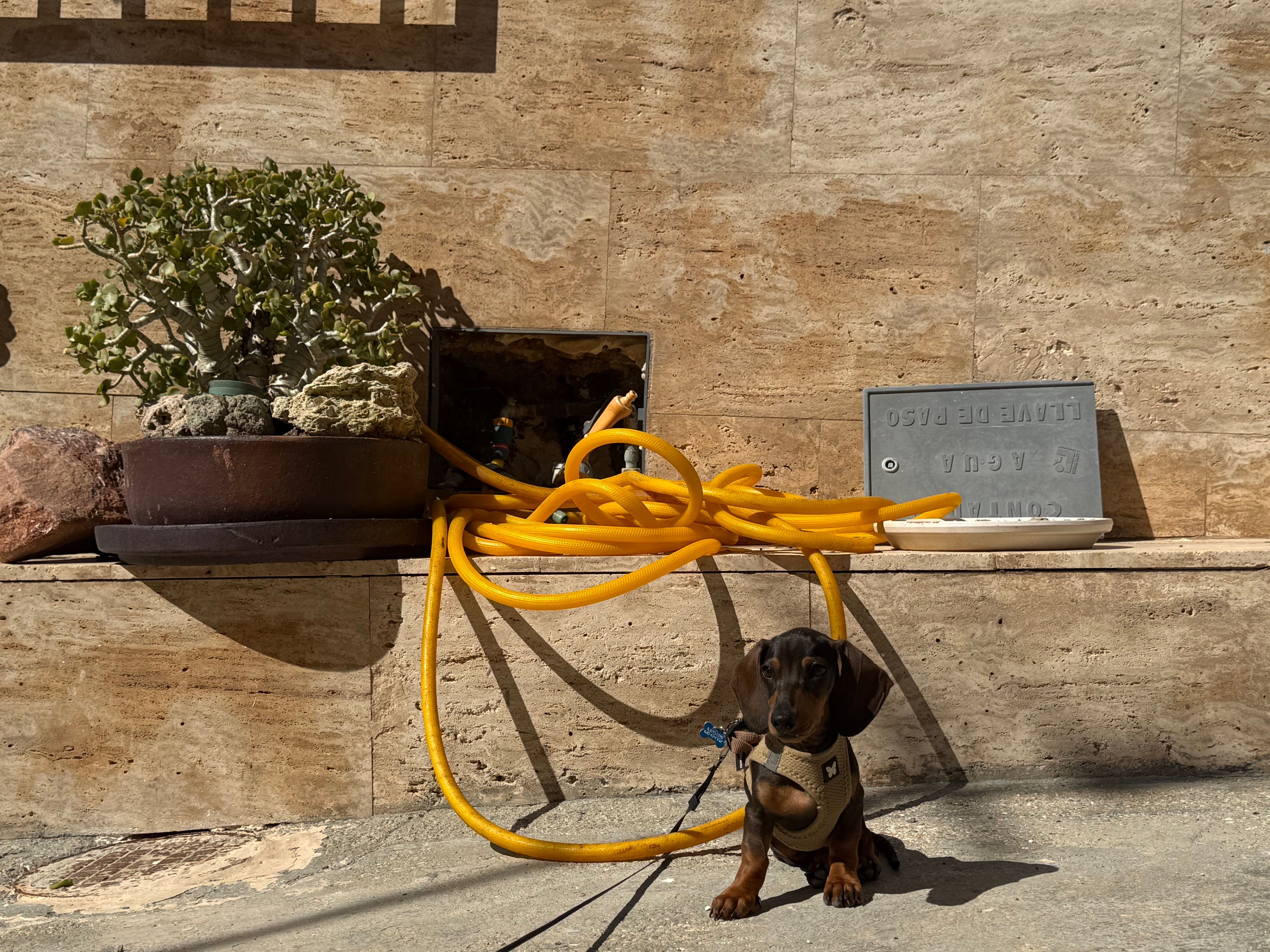 image-7