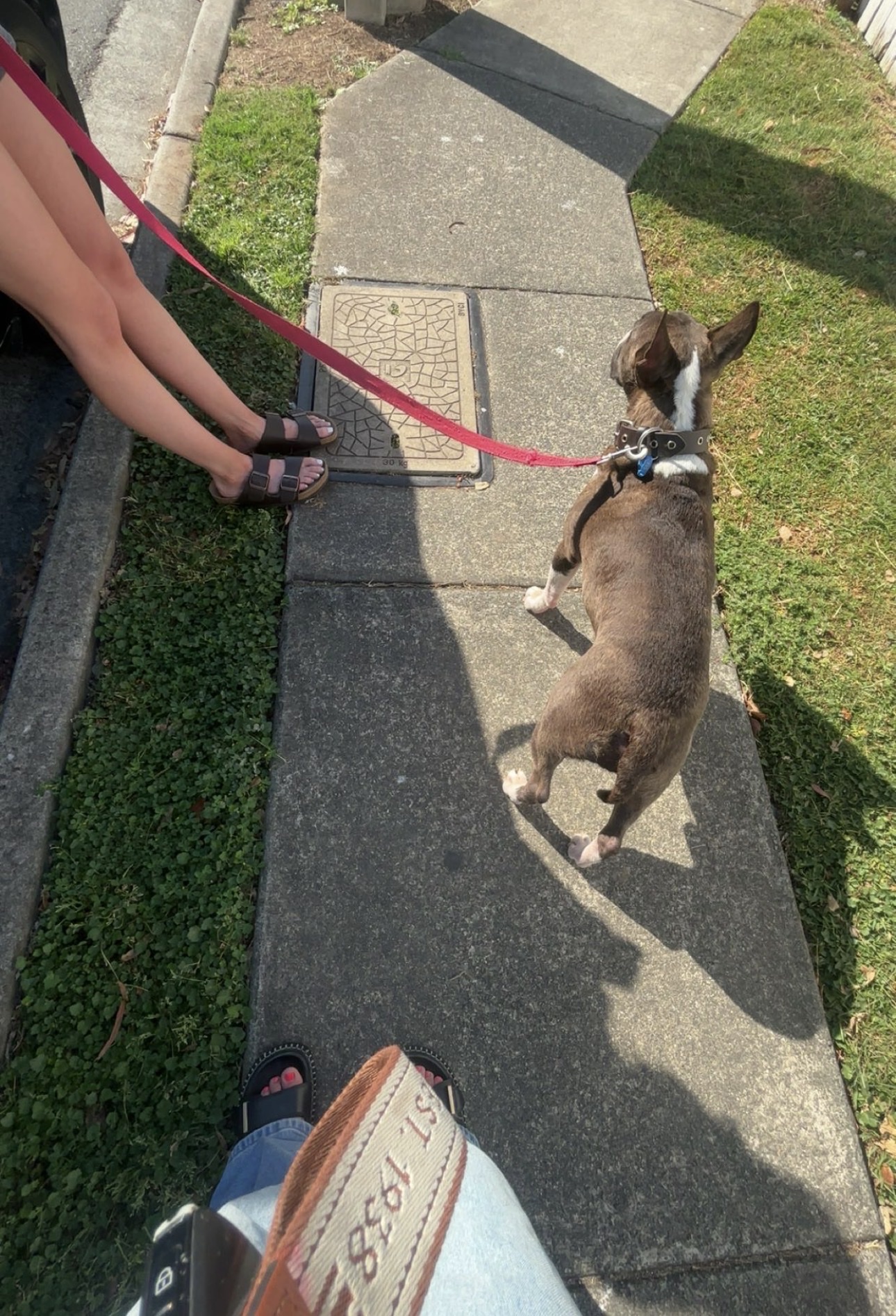 image-6