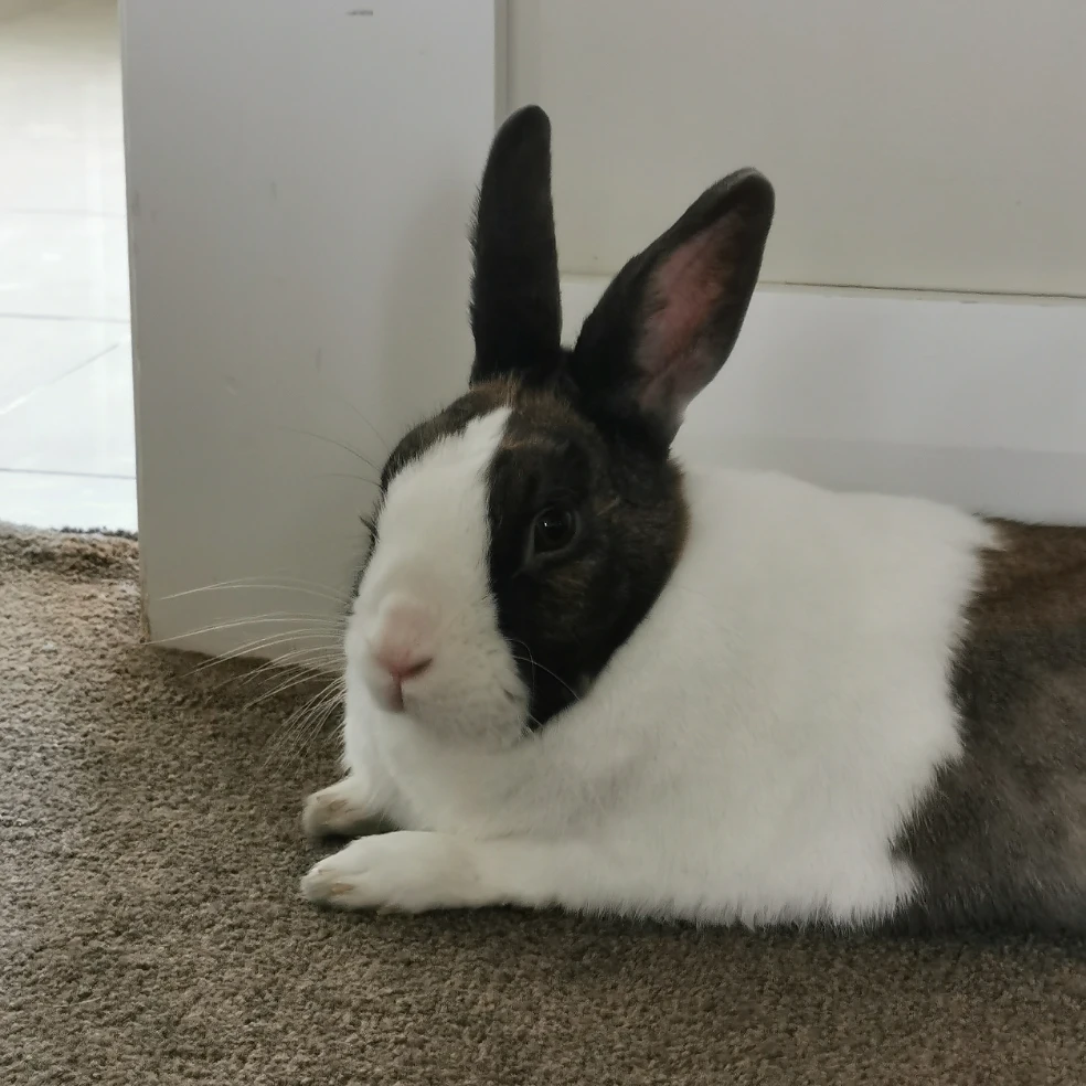 Benny