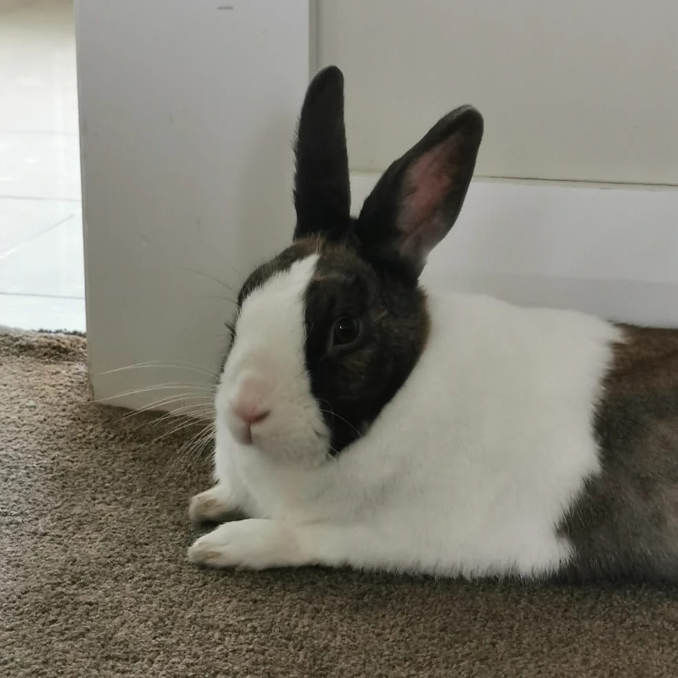 Benny