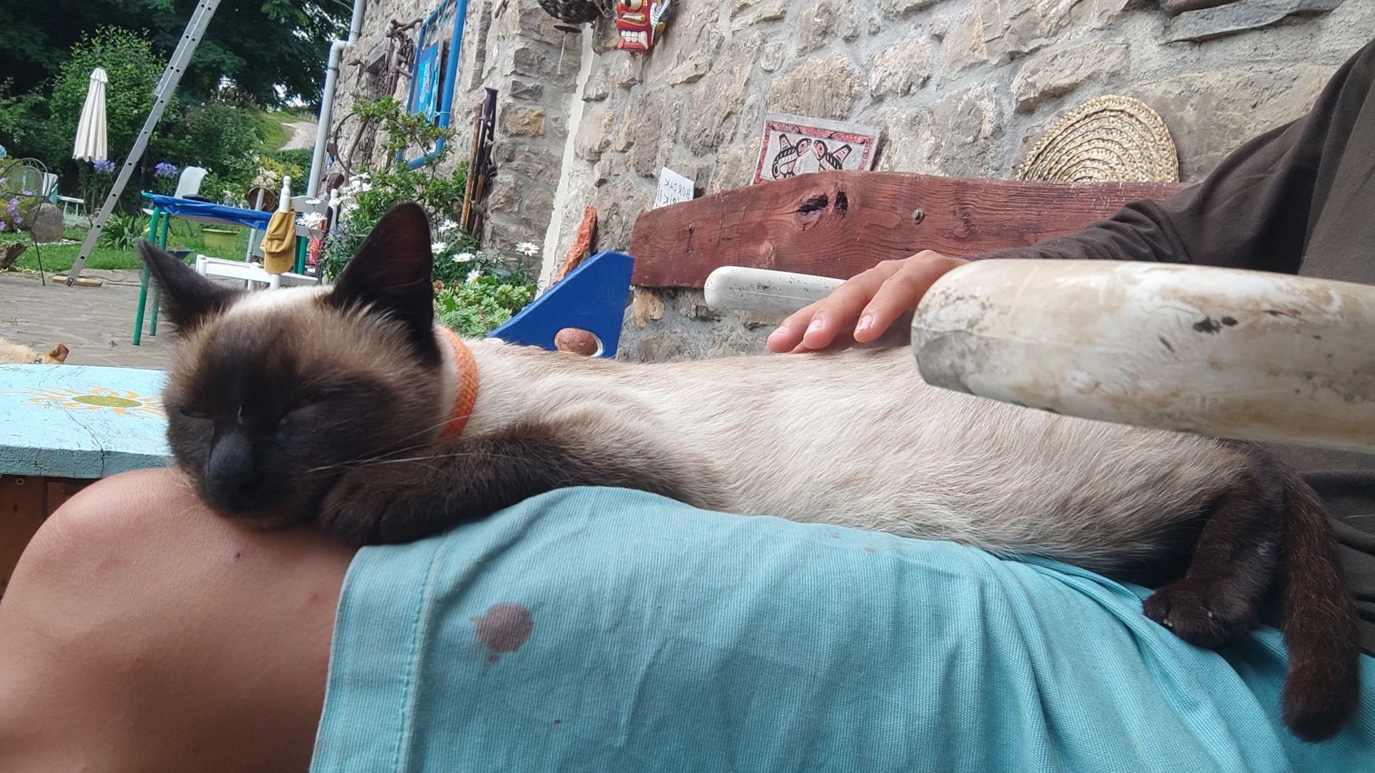 image-8