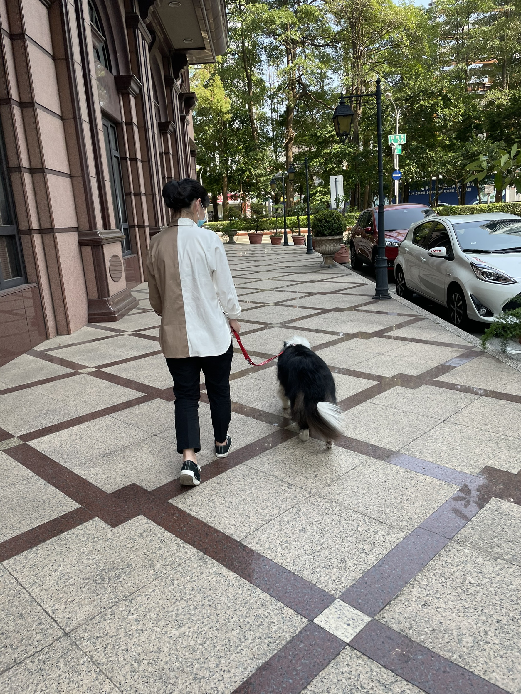 image-9