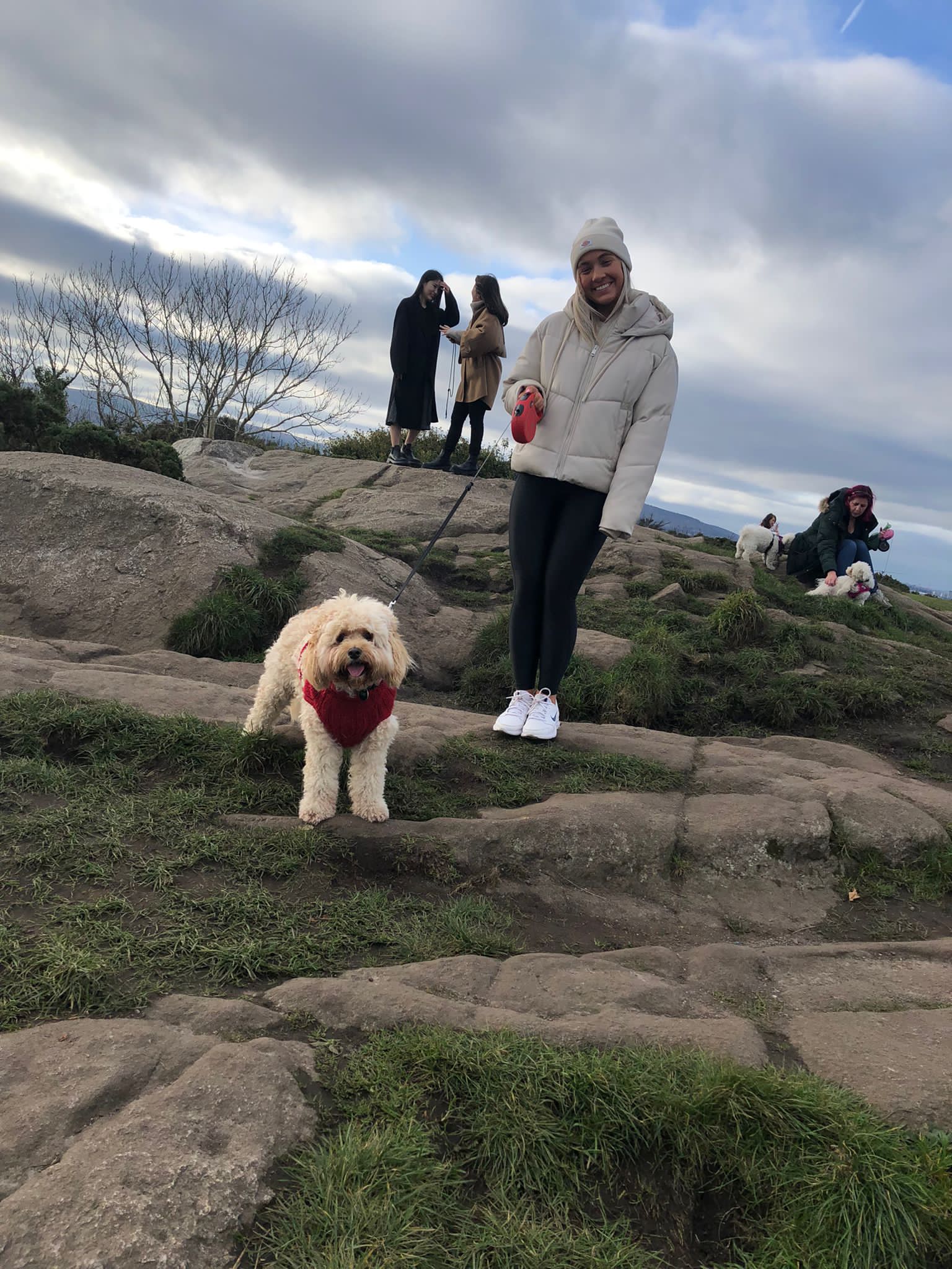 image-9