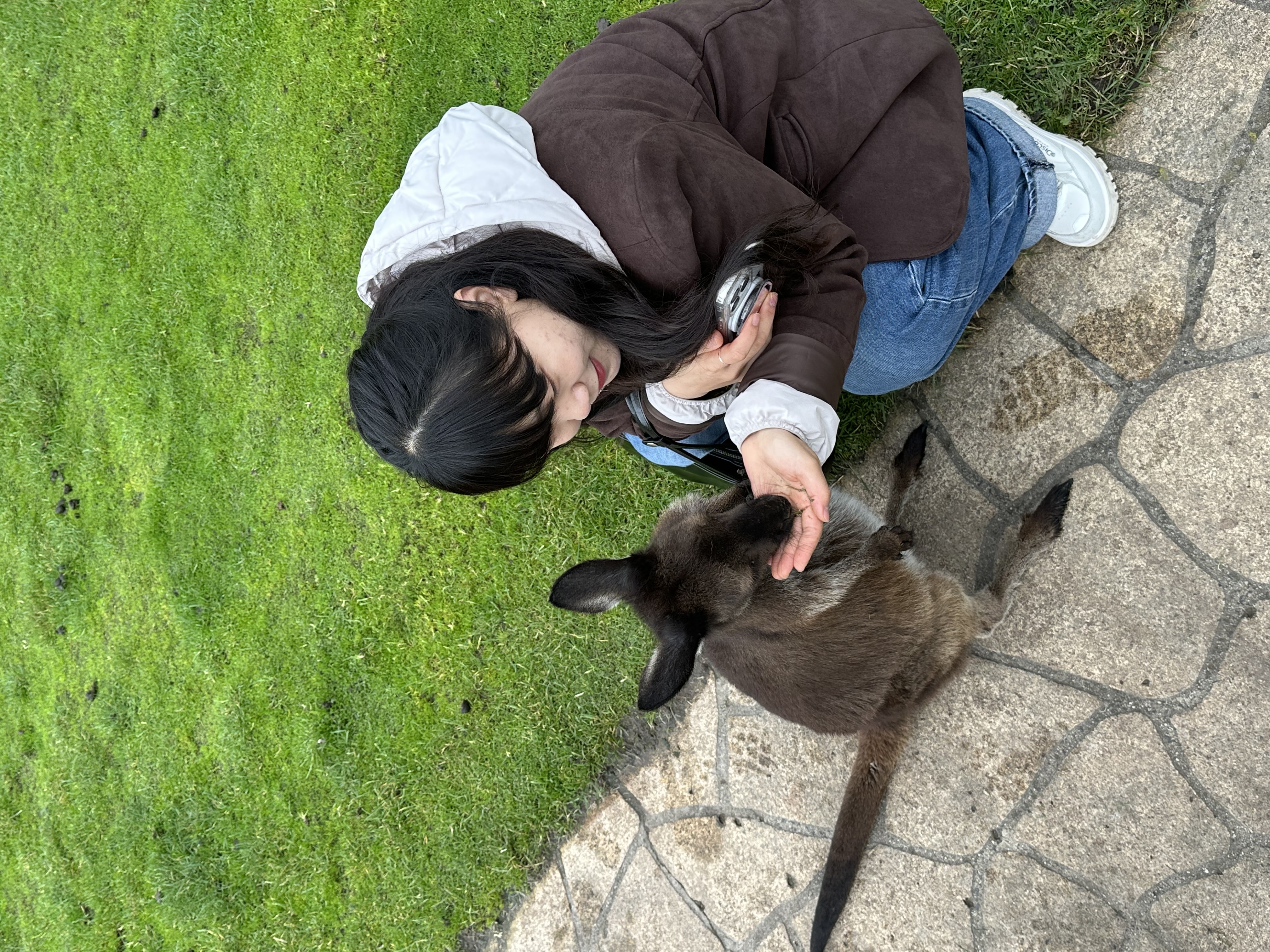 image-7