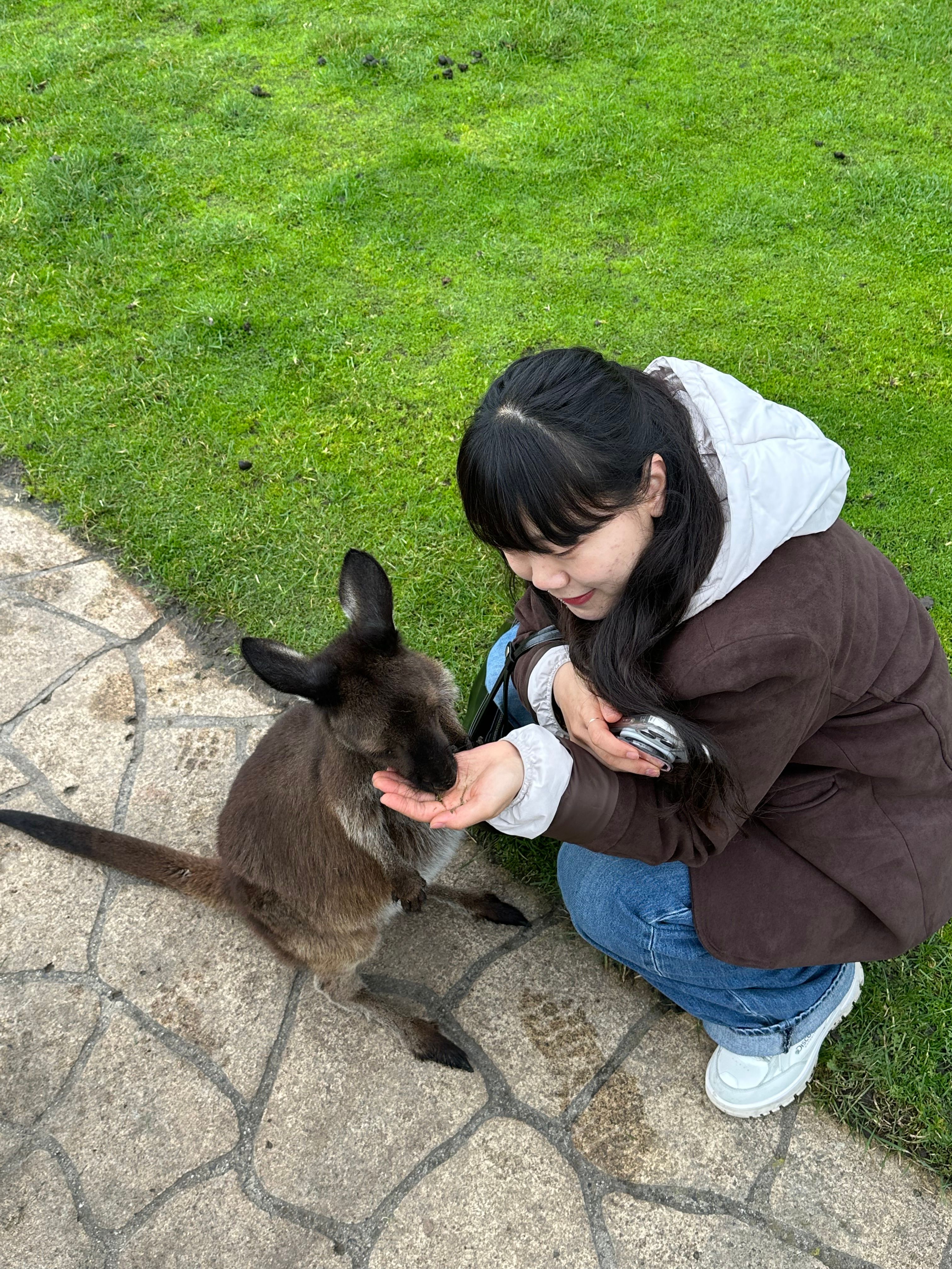 image-7