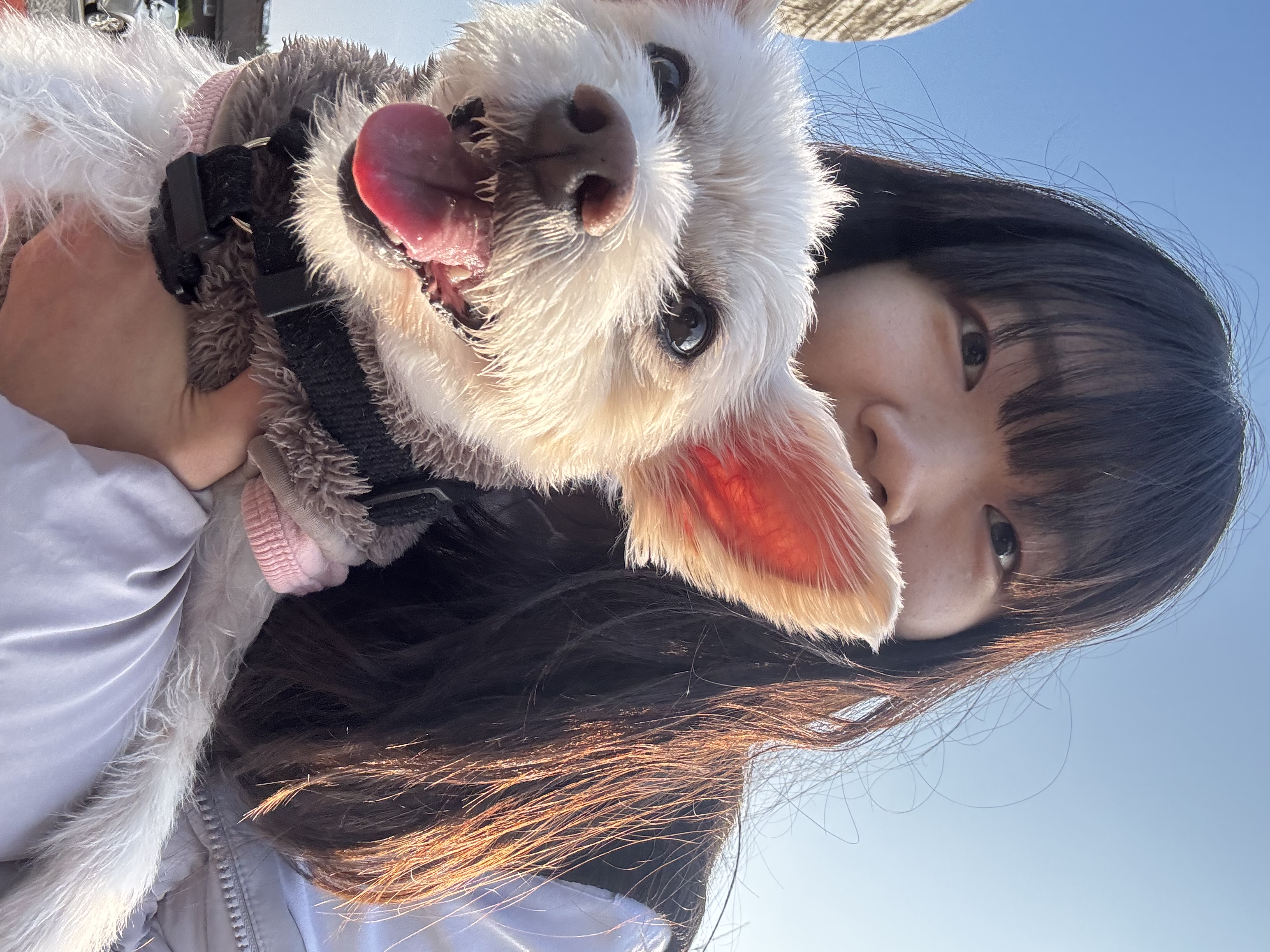 image-9
