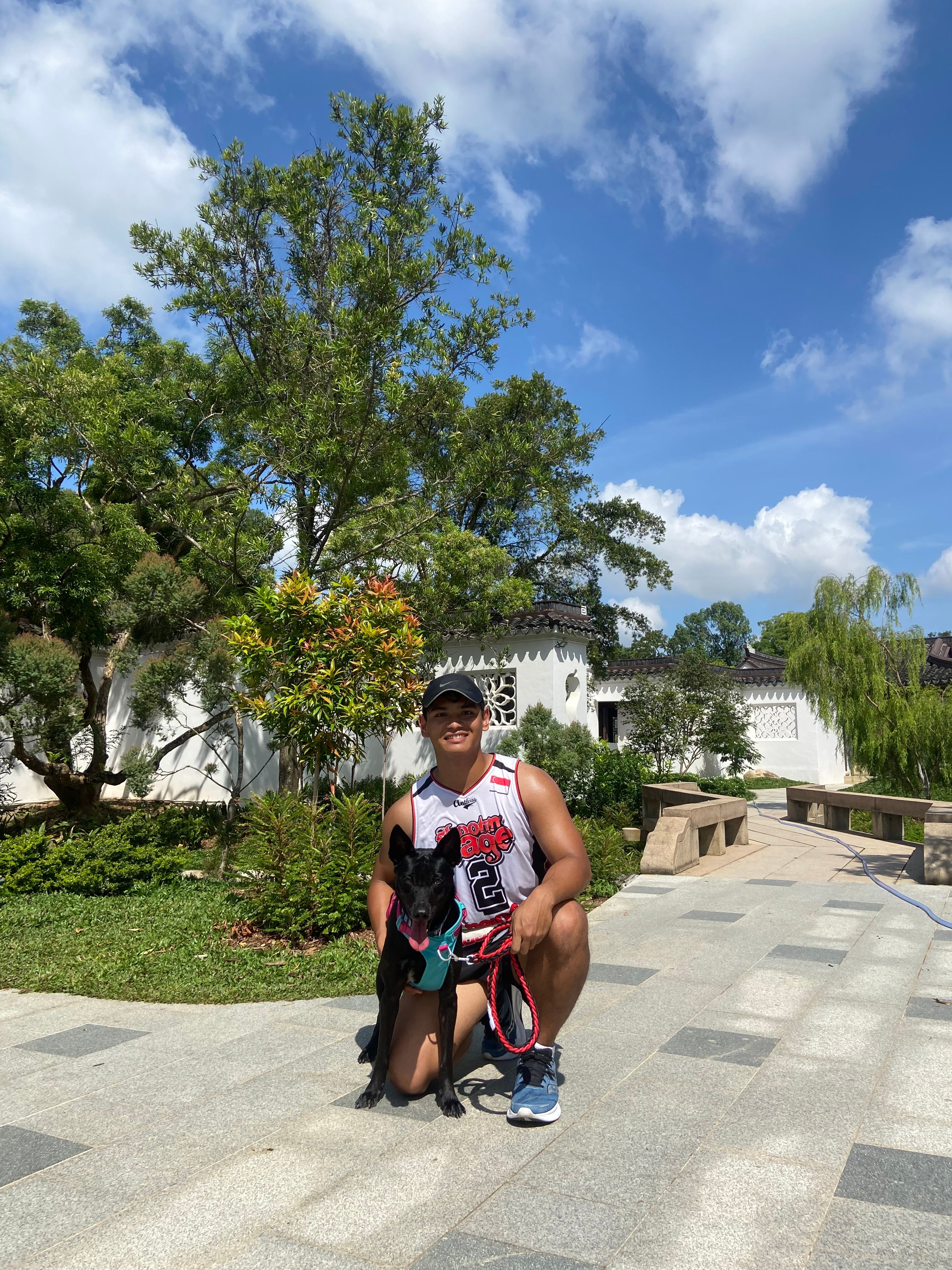 image-7