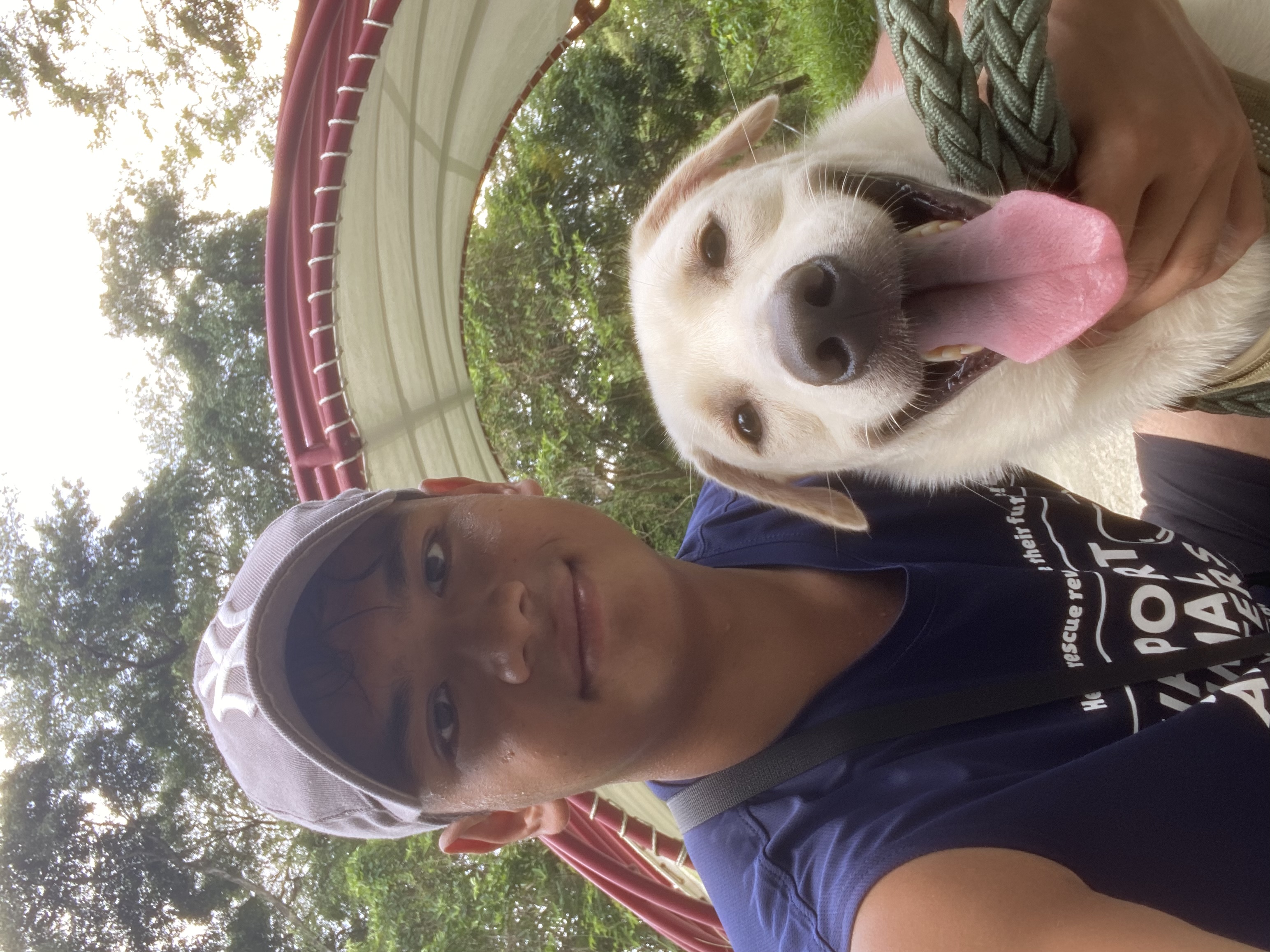 image-8