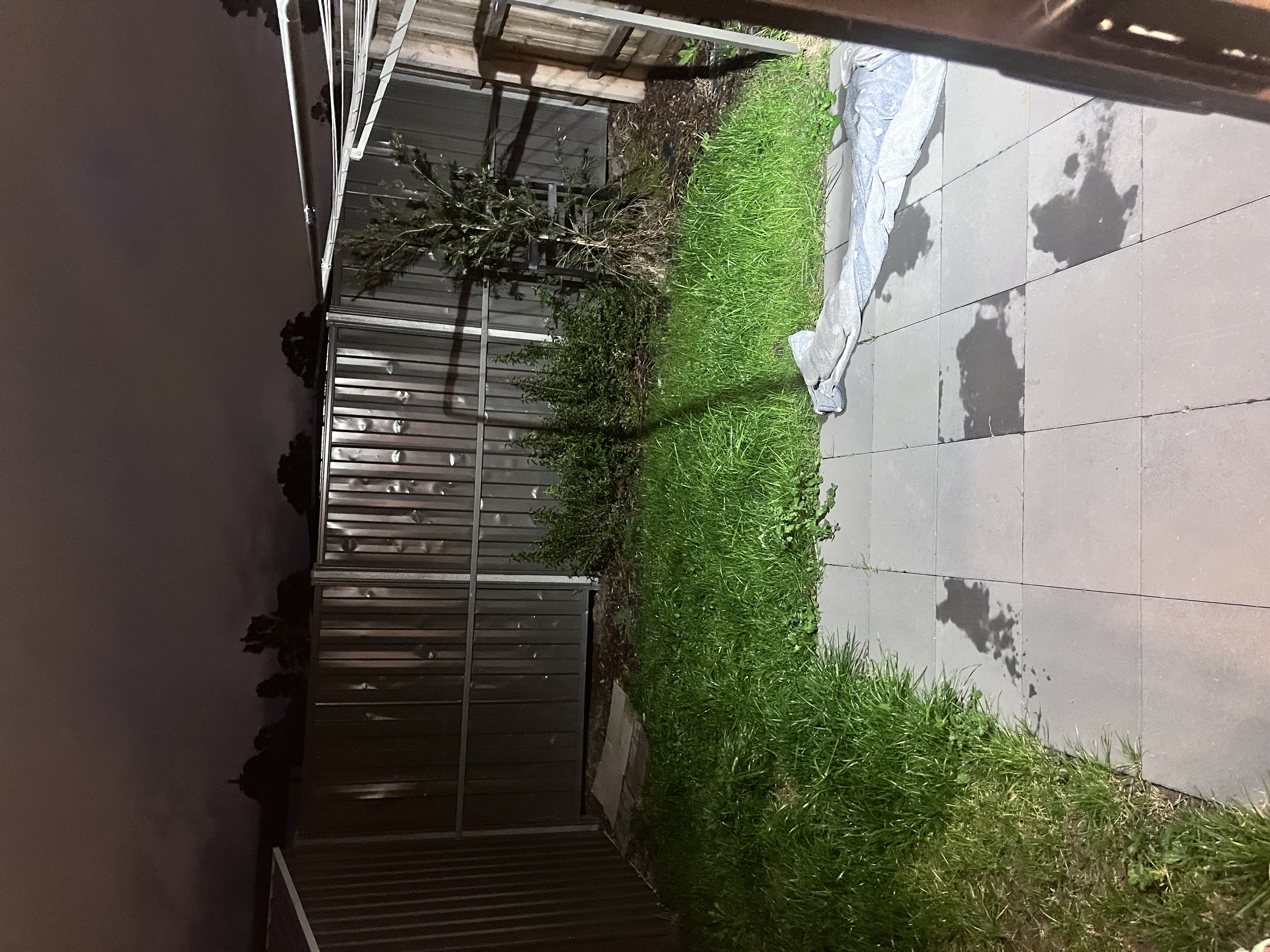 image-11