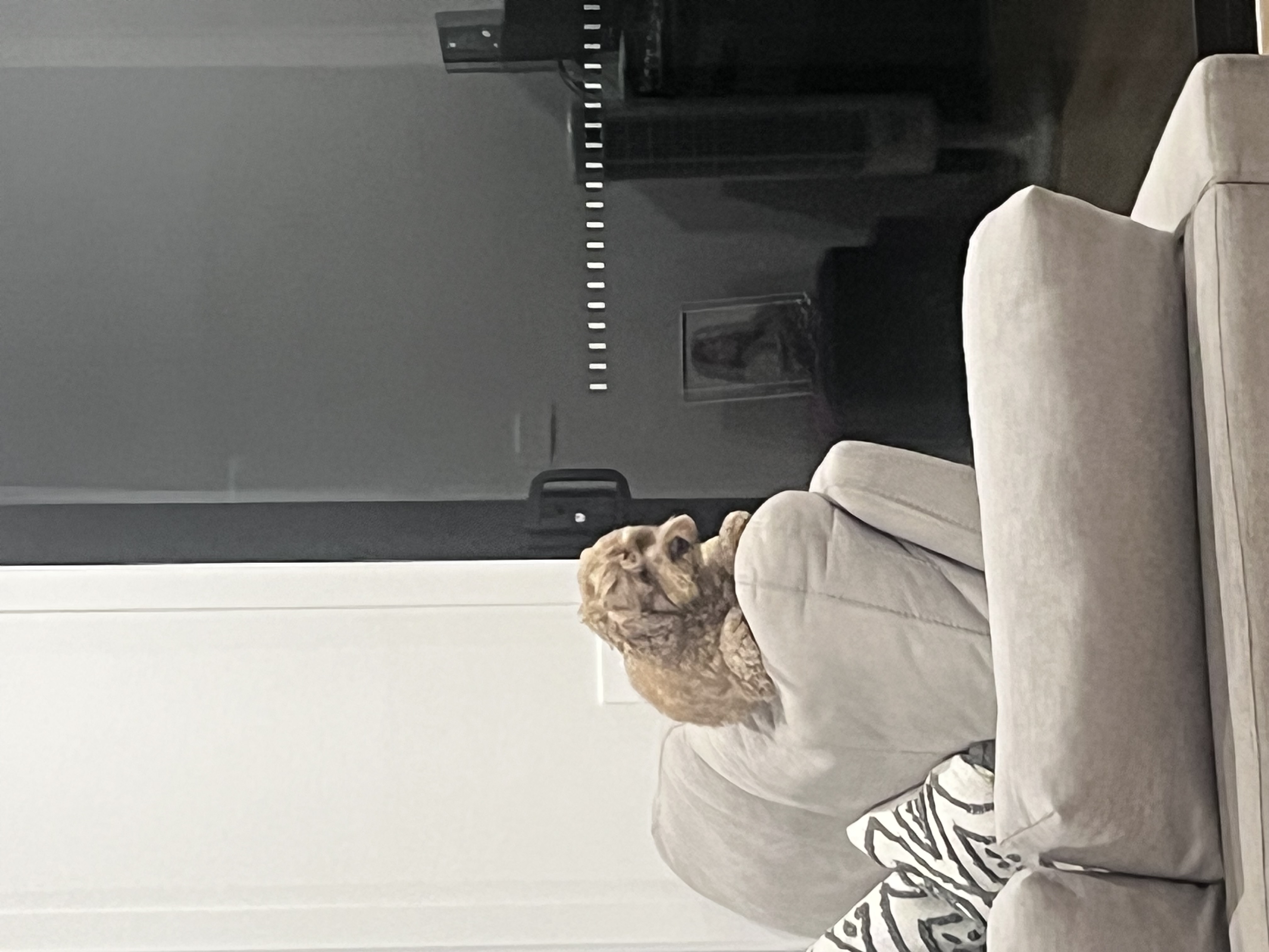 image-8