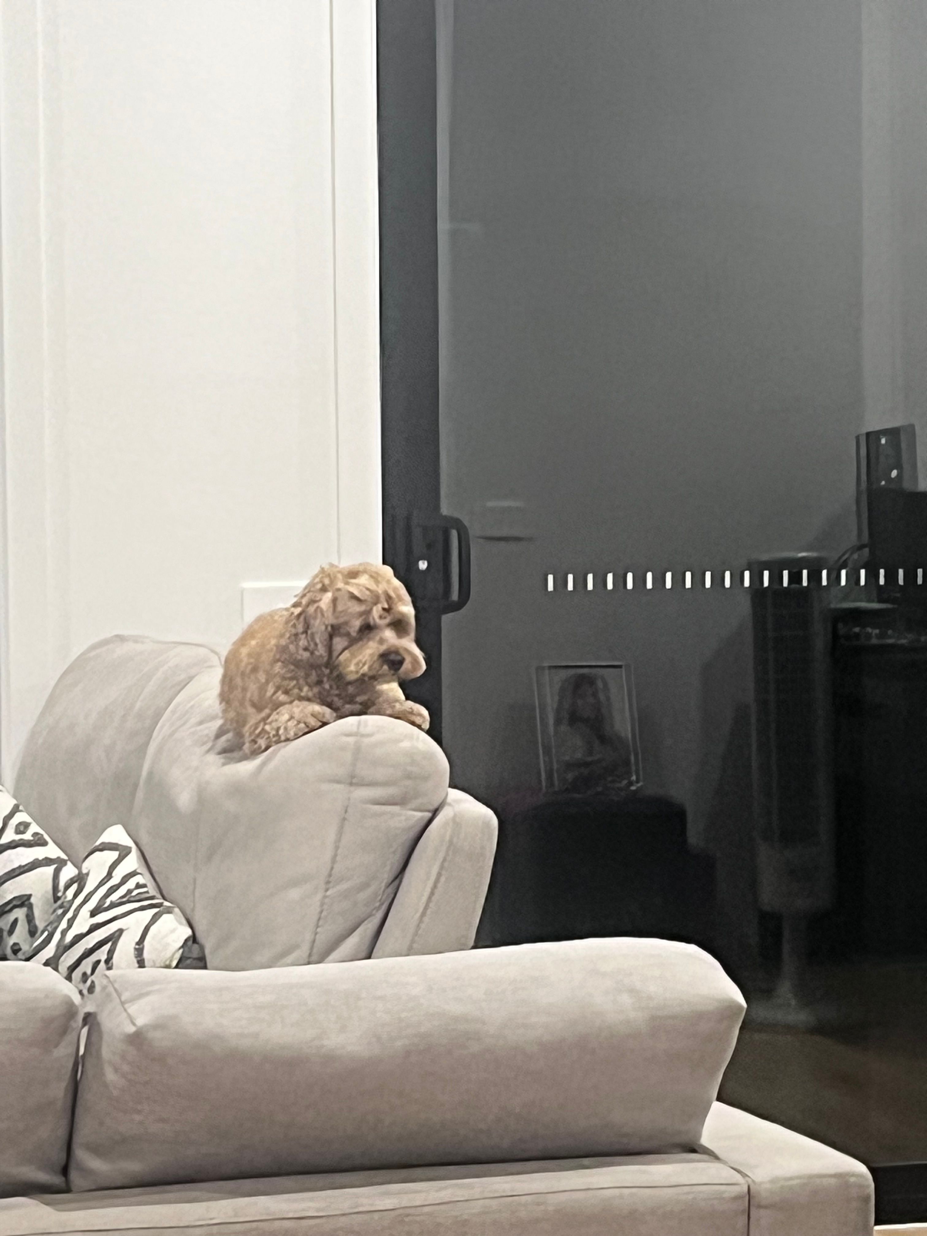 image-8