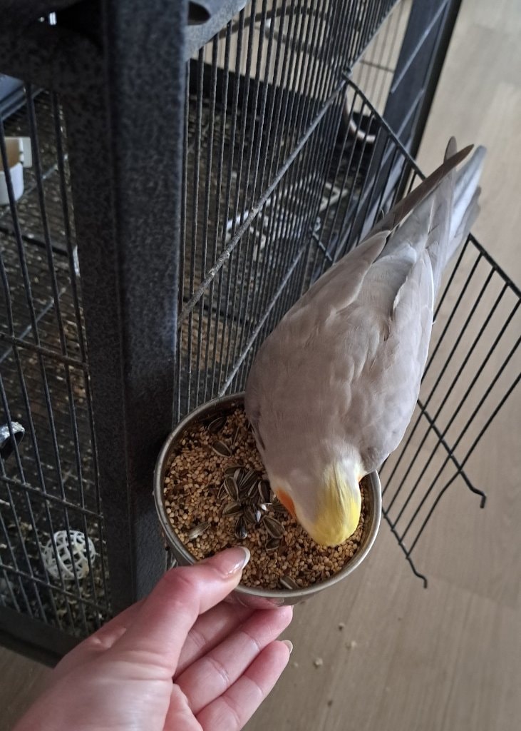 image-7
