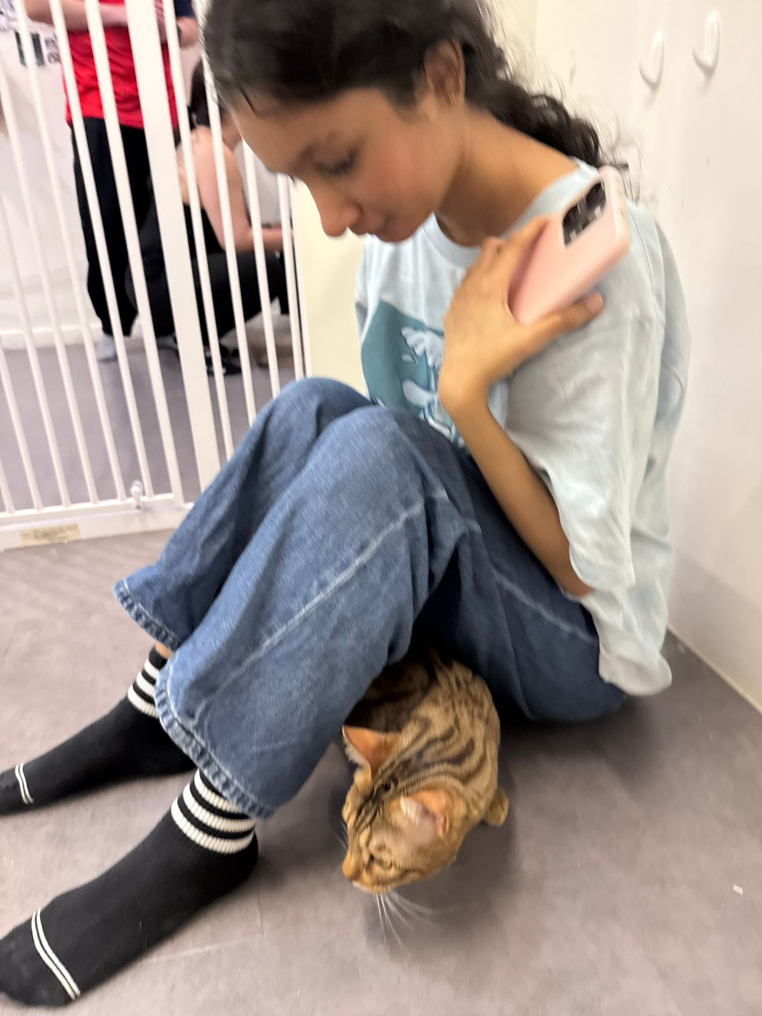 image-6