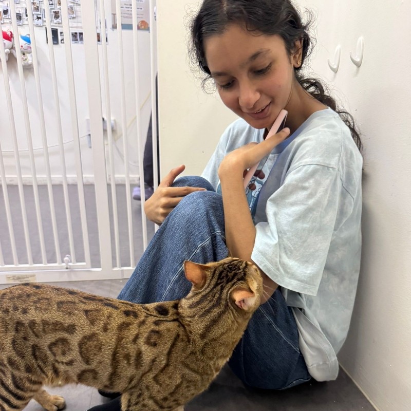 Prisha The Cat Devotee