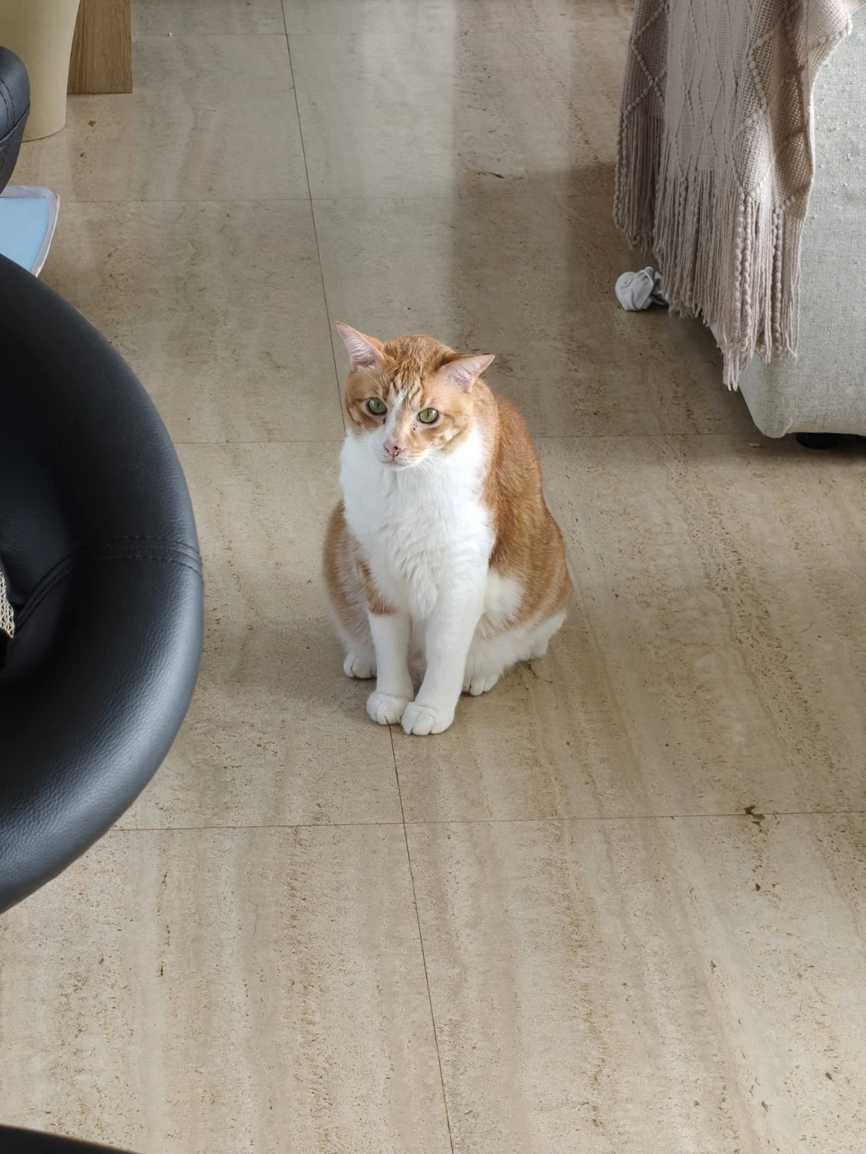image-15