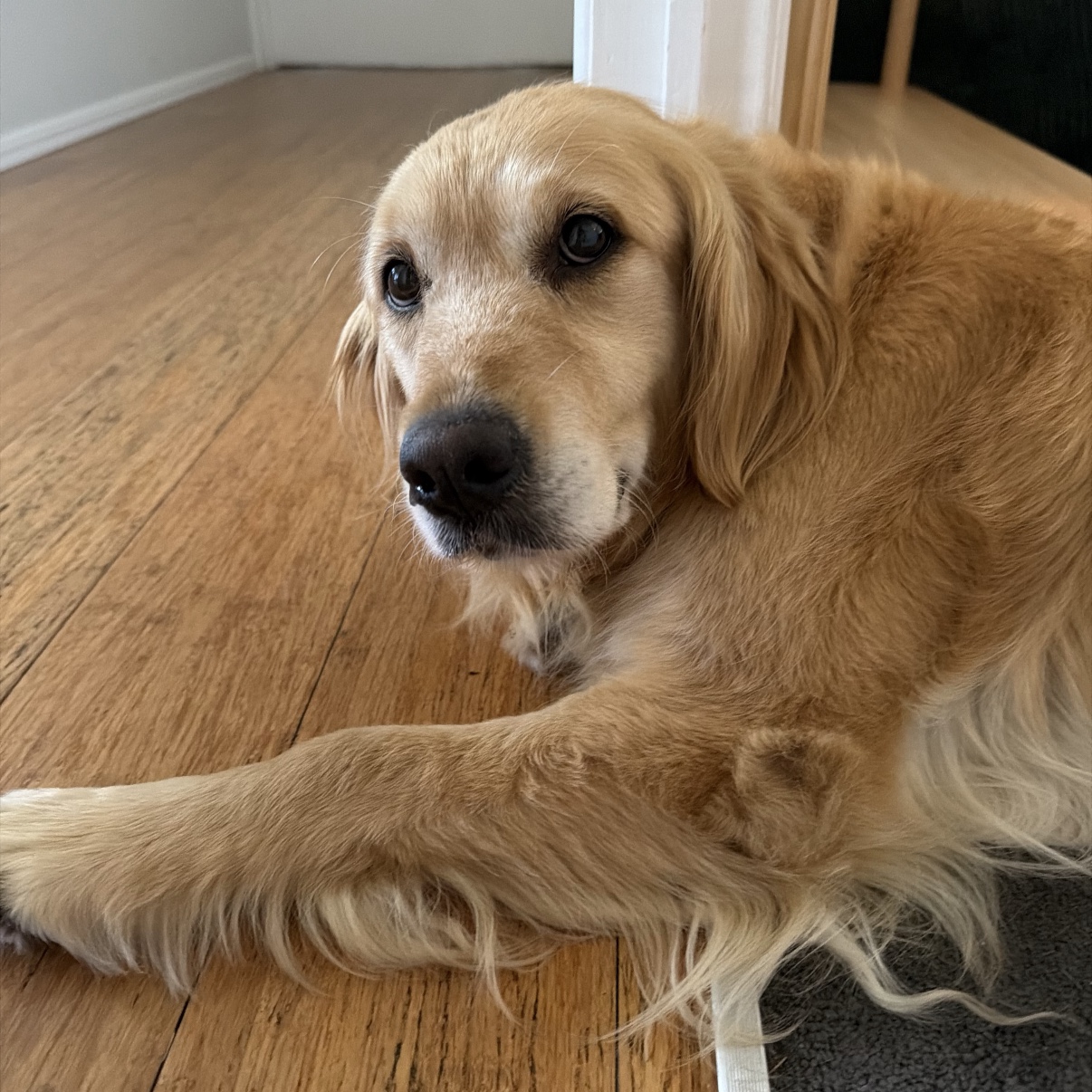 Skye