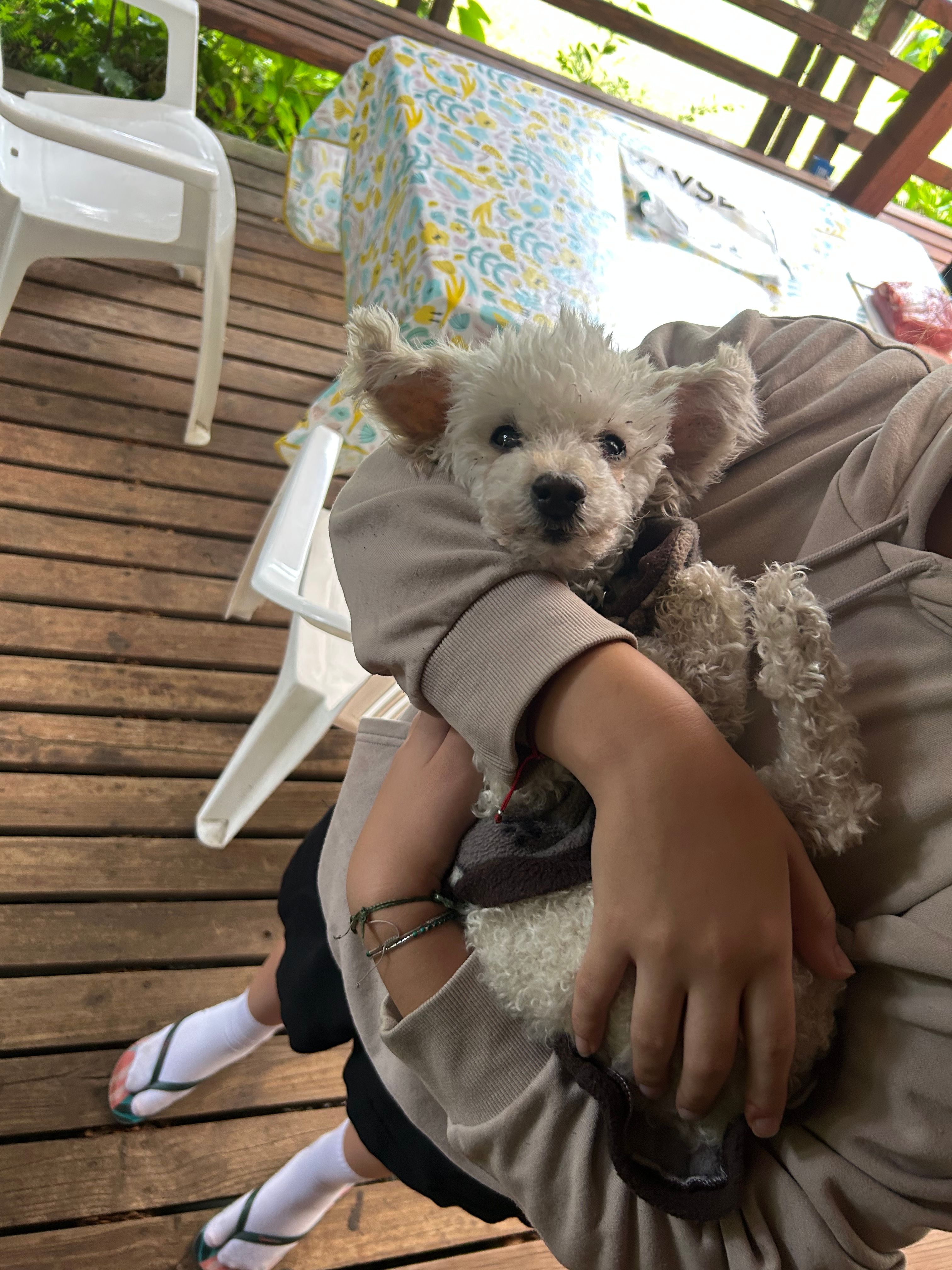 image-10