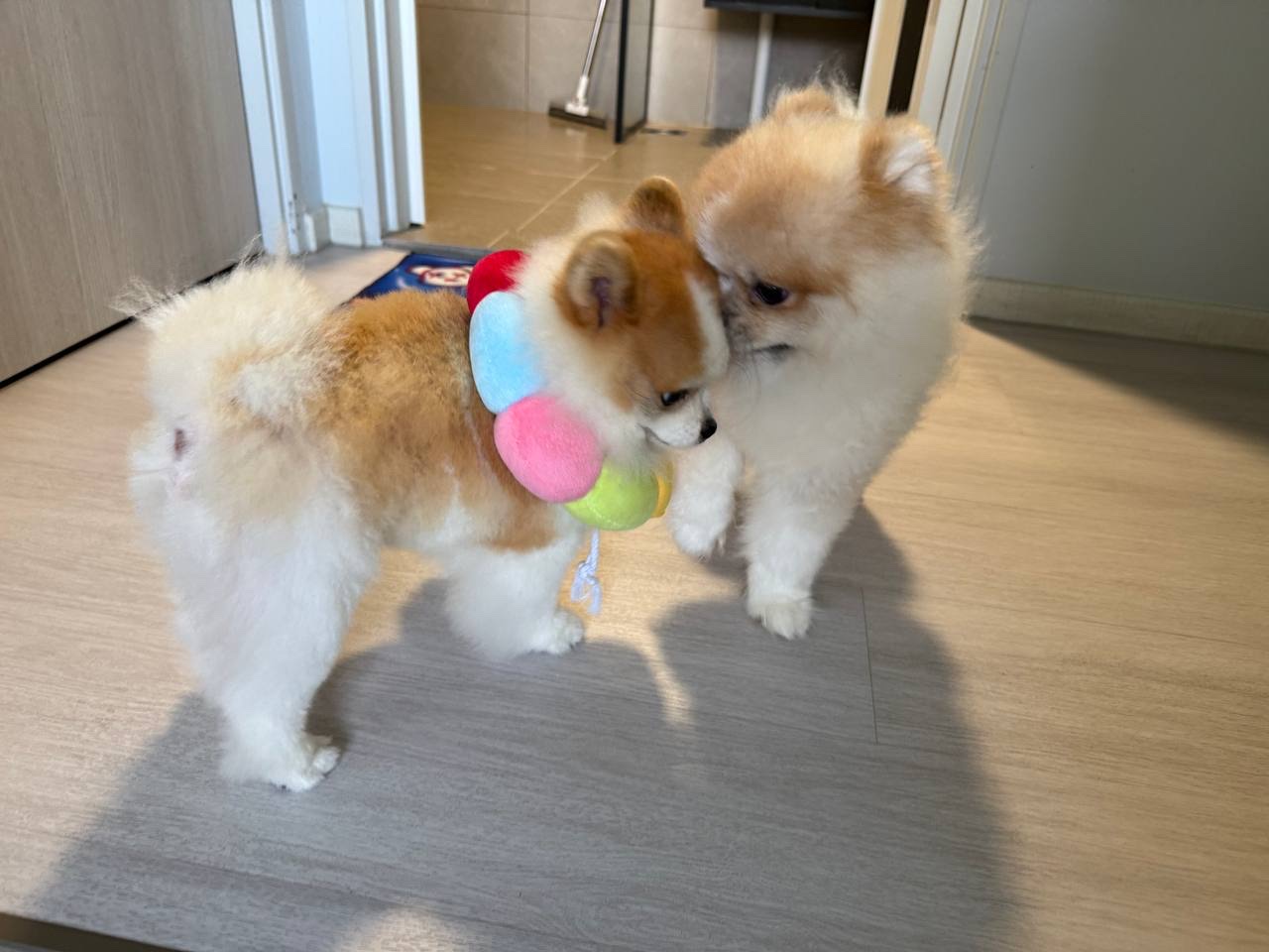 image-11