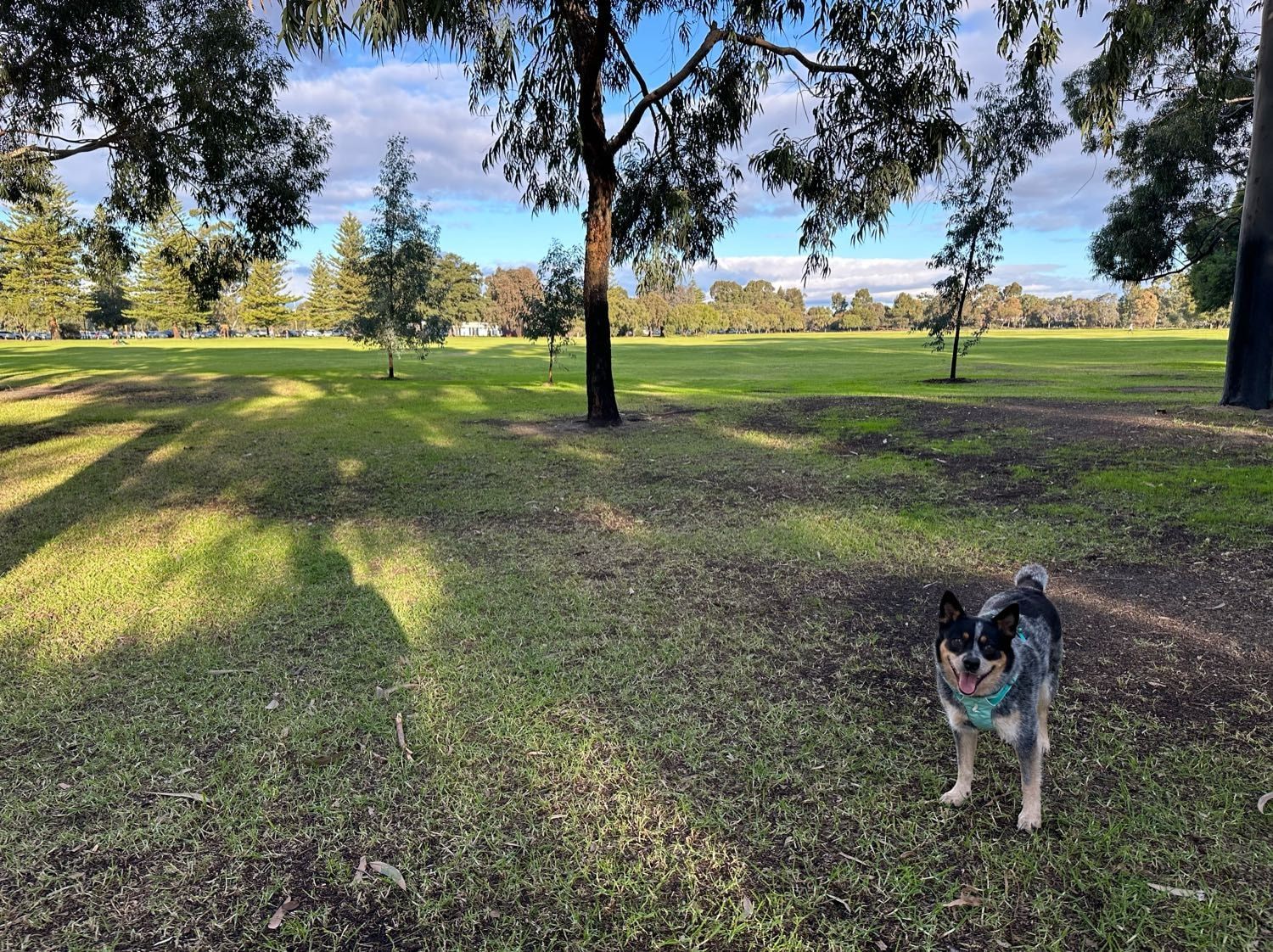 image-3